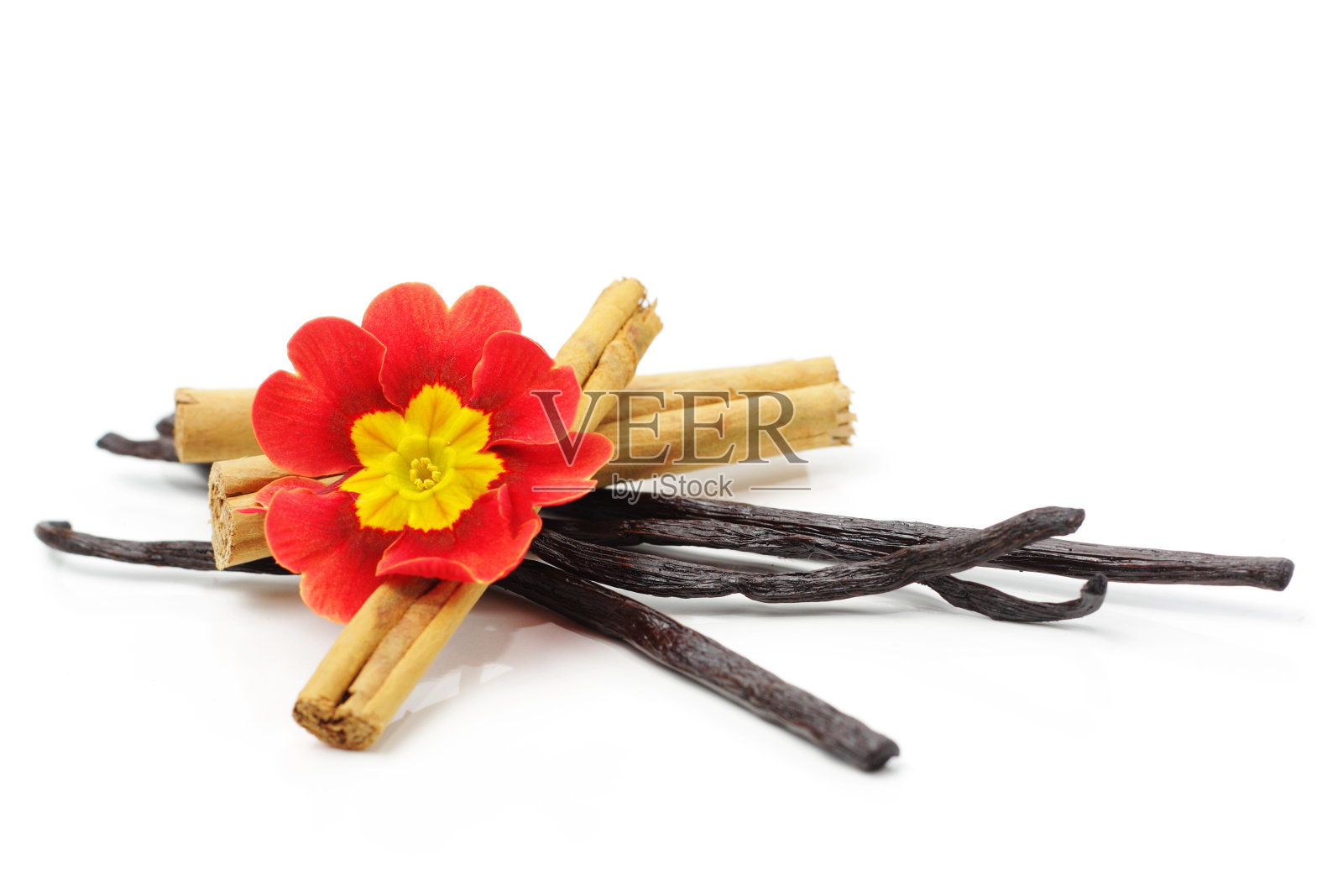 肉桂棒和香草豆照片摄影图片