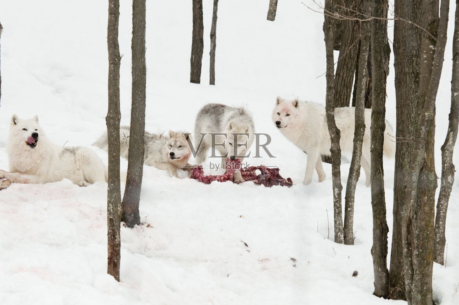 用餐时间照片摄影图片