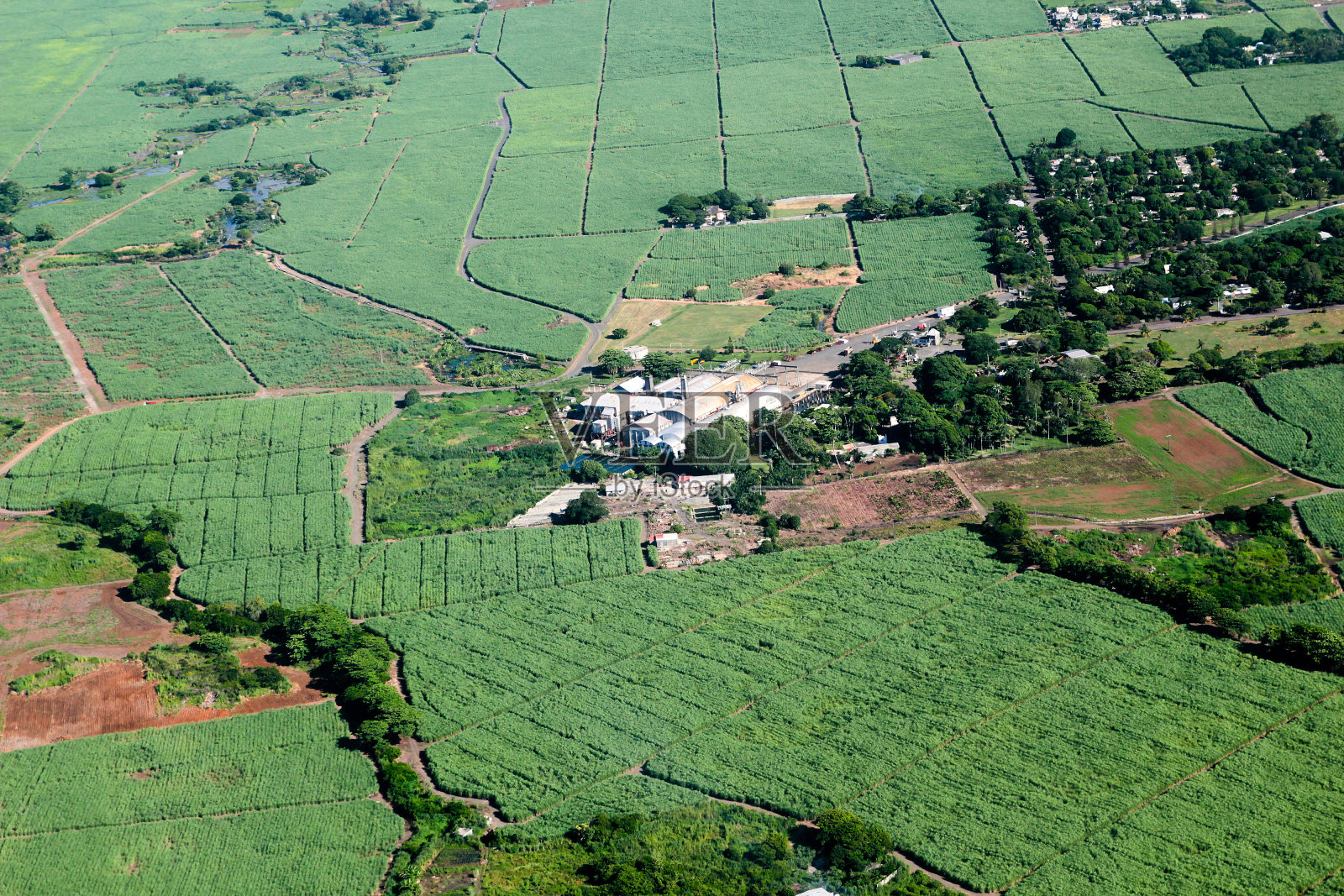 甘蔗工厂照片摄影图片