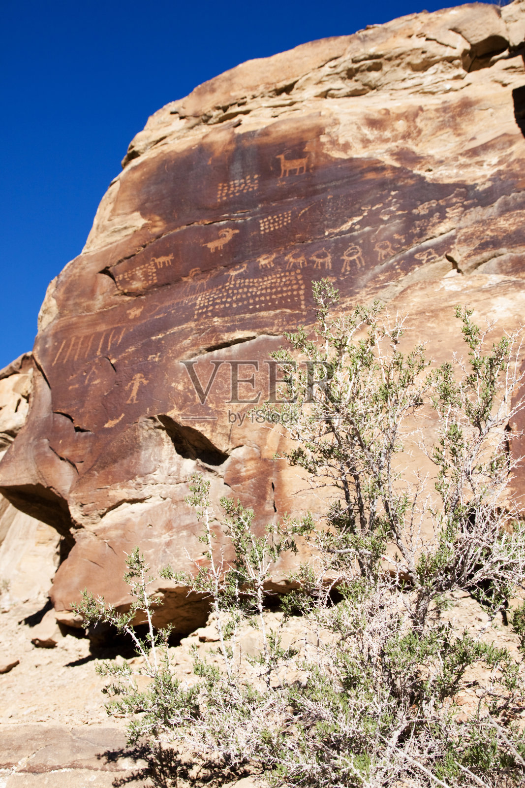 岩石艺术和灌木照片摄影图片