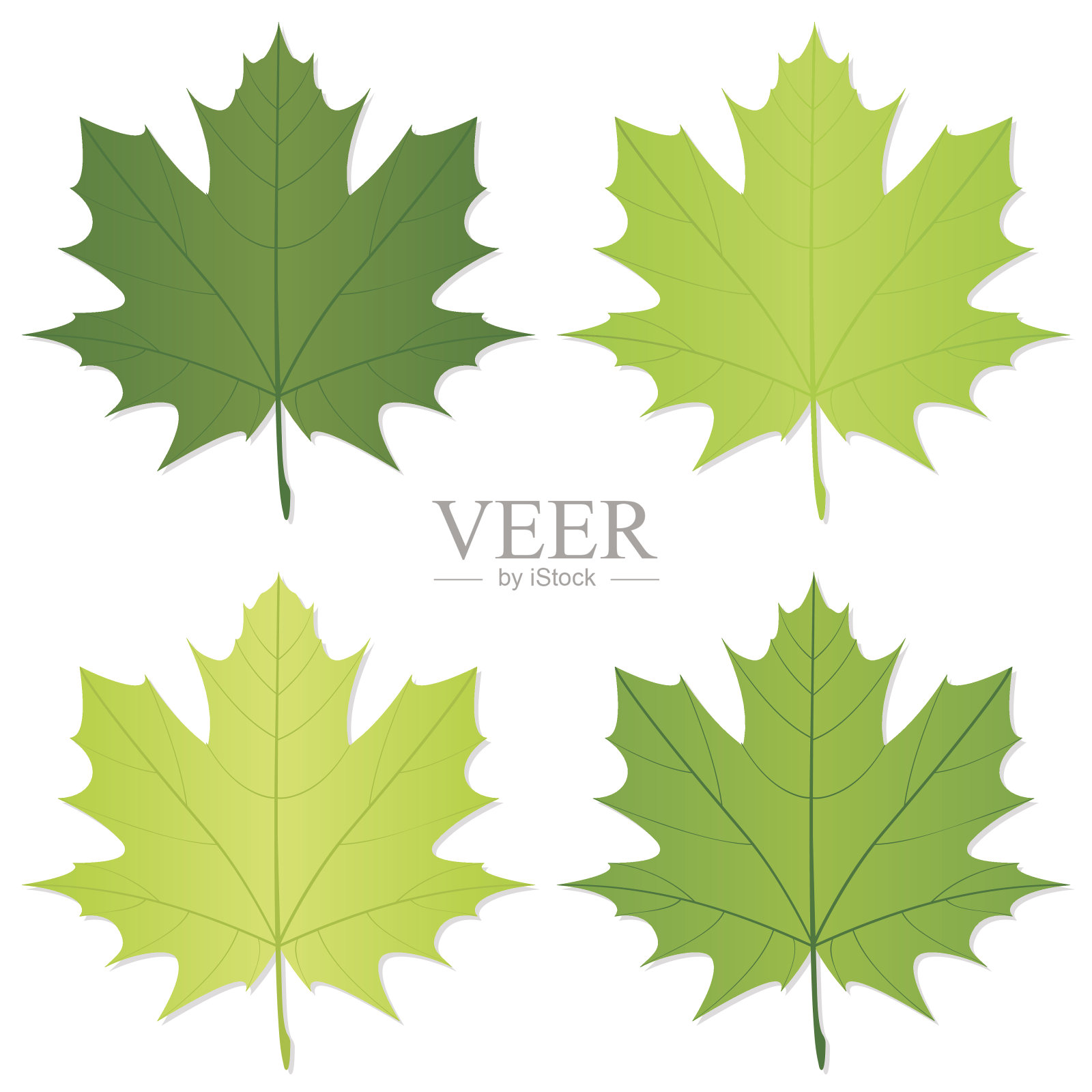 绿色的树叶设计元素图片