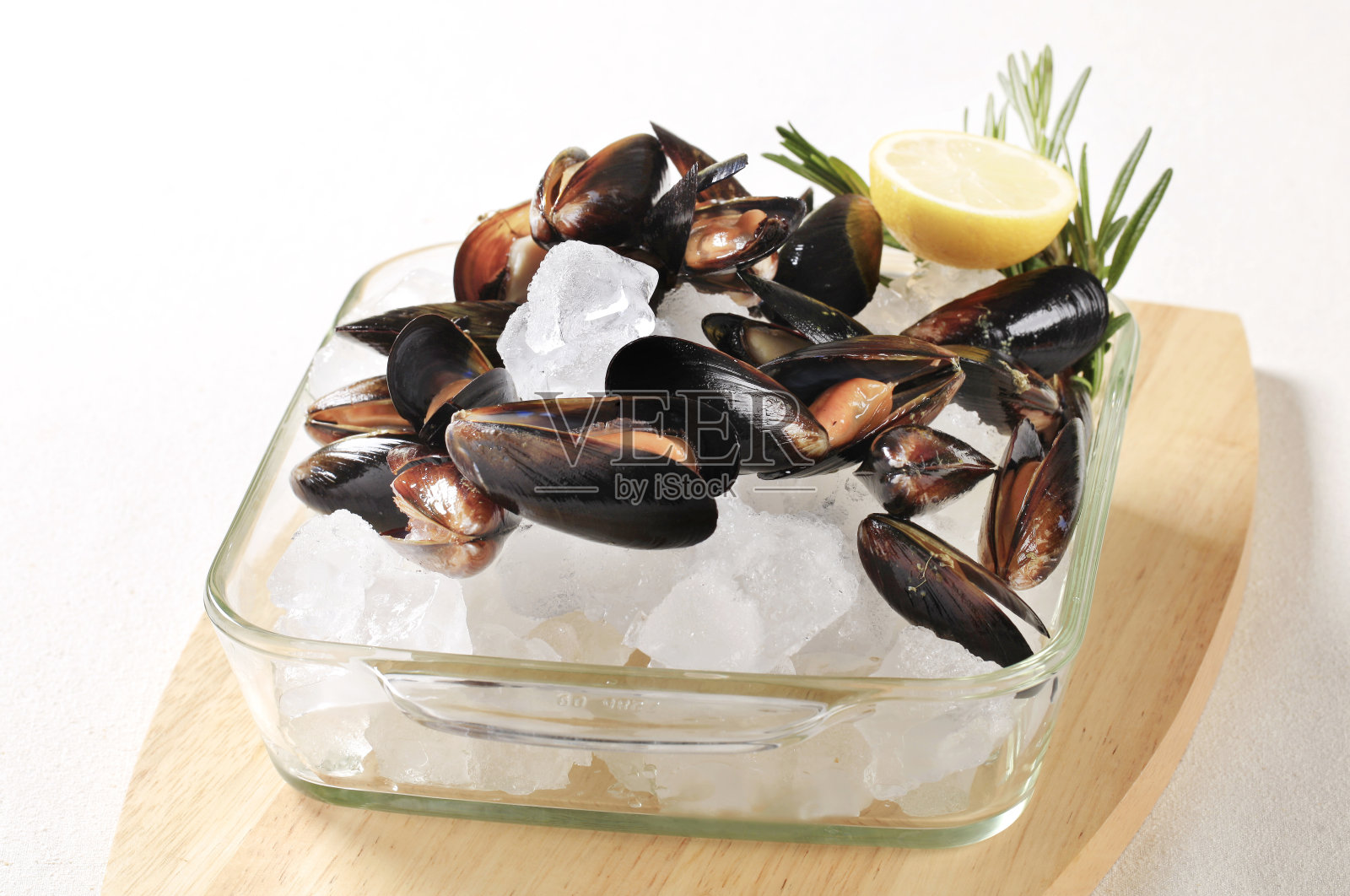 冰生贻贝照片摄影图片