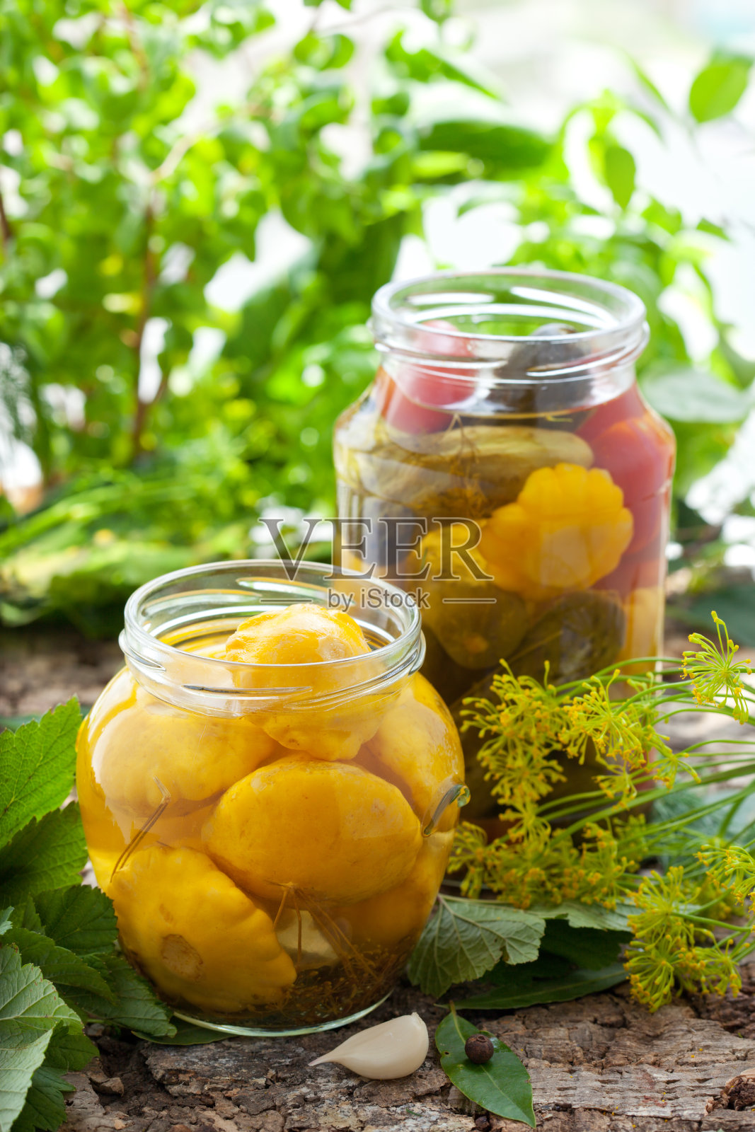 保存蔬菜照片摄影图片