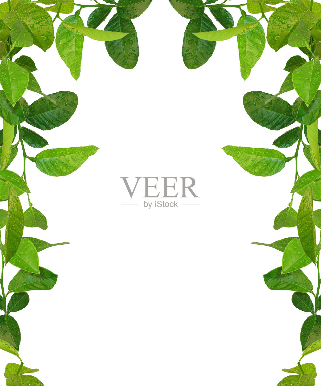 绿叶框架-相似的图像可用照片摄影图片