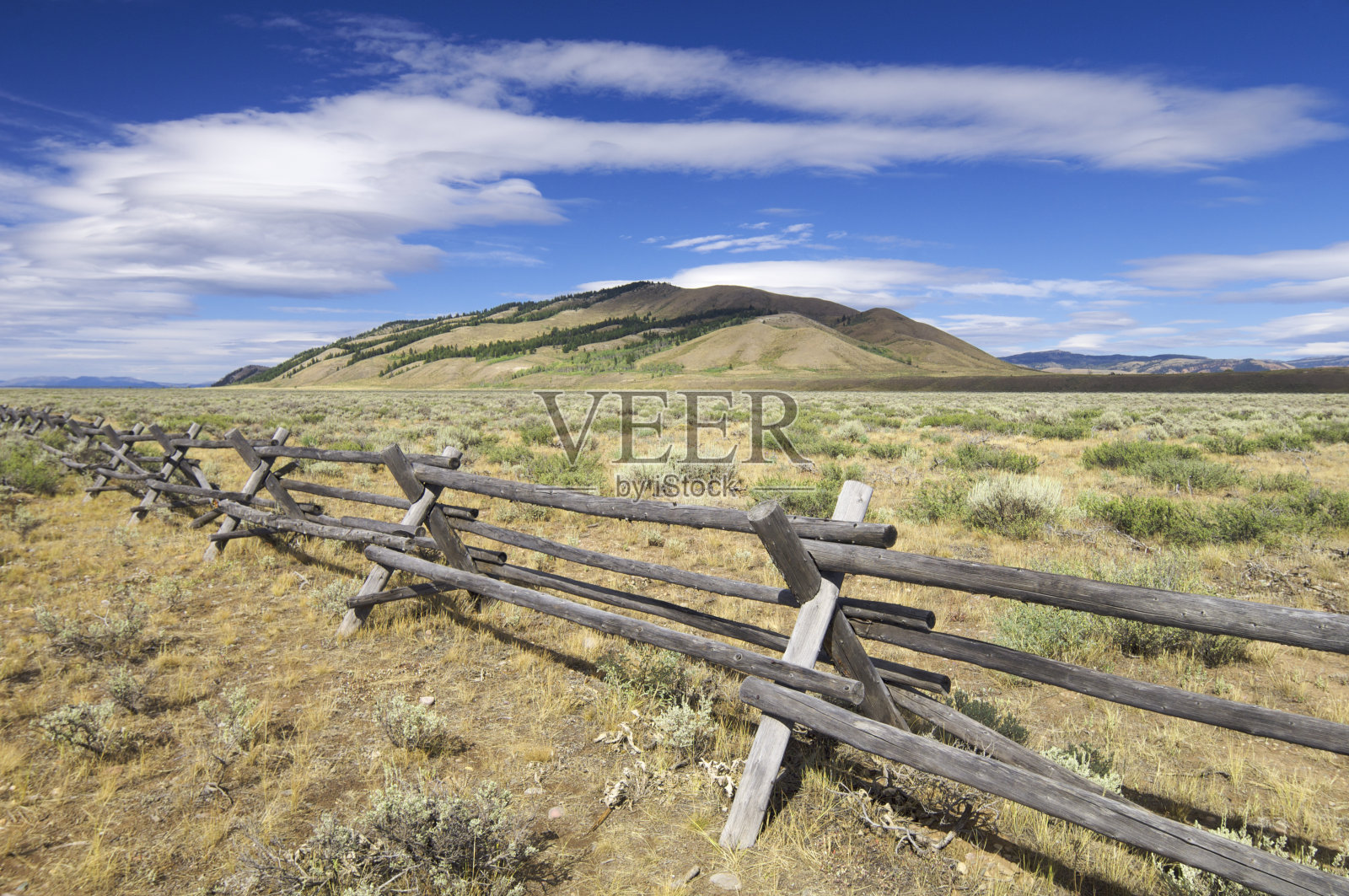 草地照片摄影图片