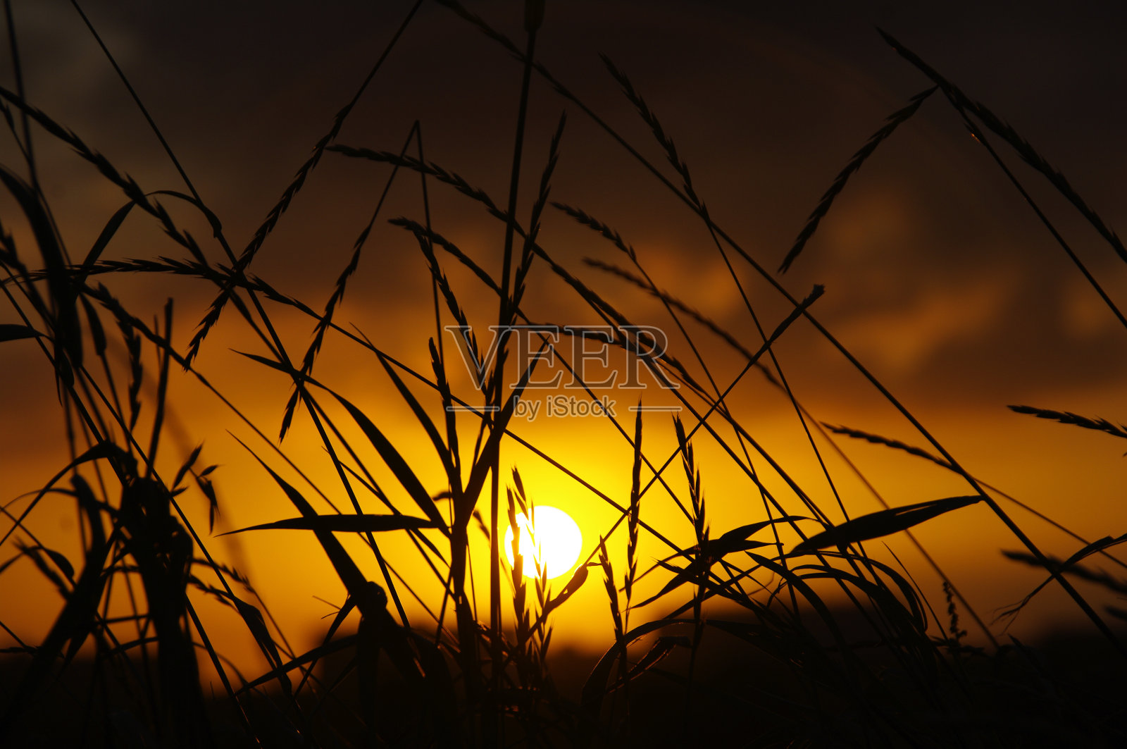 日出照片摄影图片