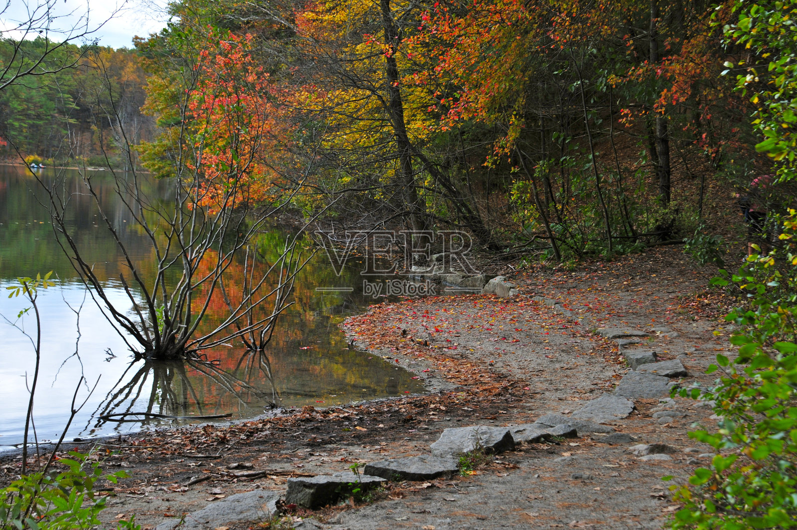 瓦尔登湖的海岸线照片摄影图片