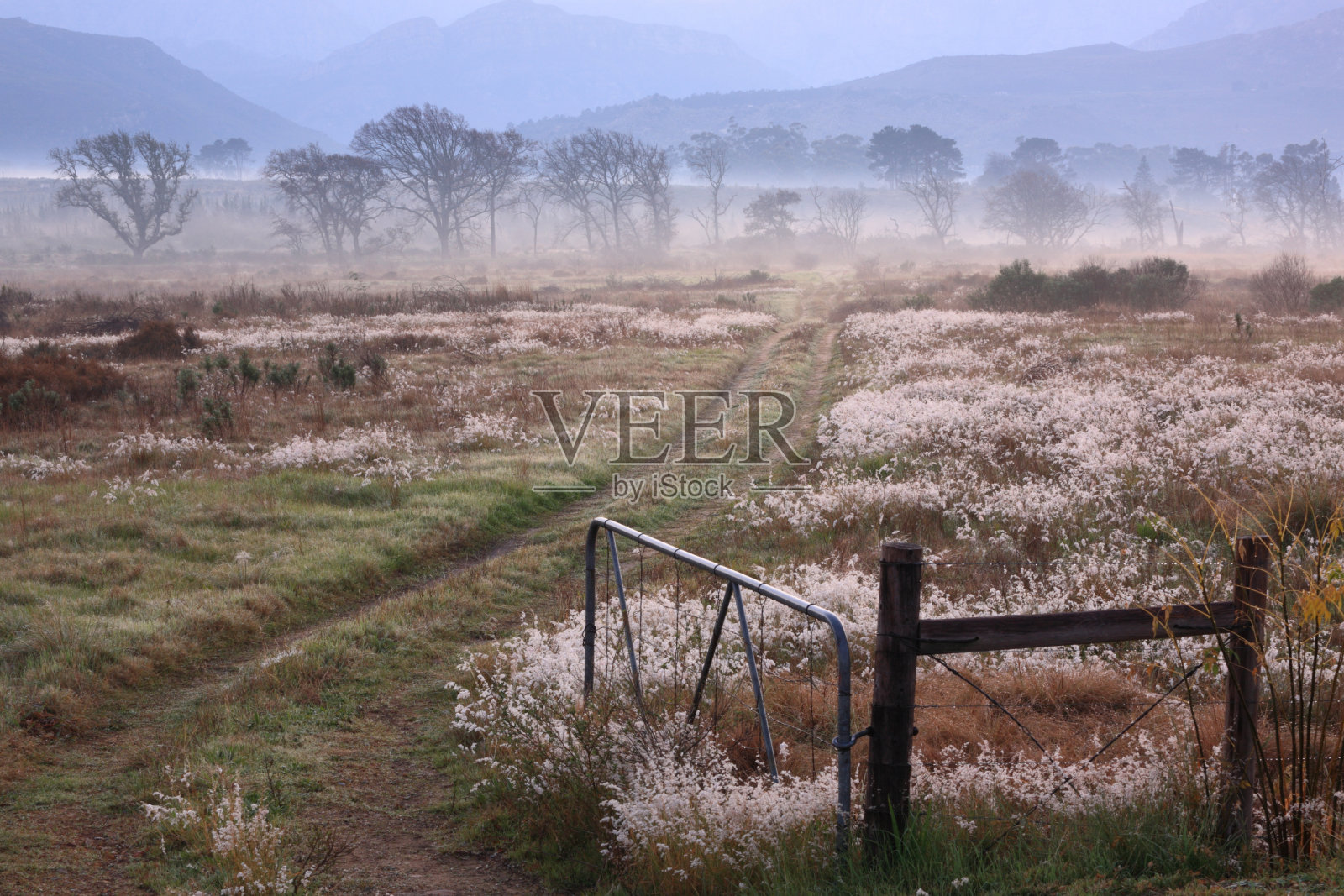 敞开的大门和雾蒙蒙的农田照片摄影图片