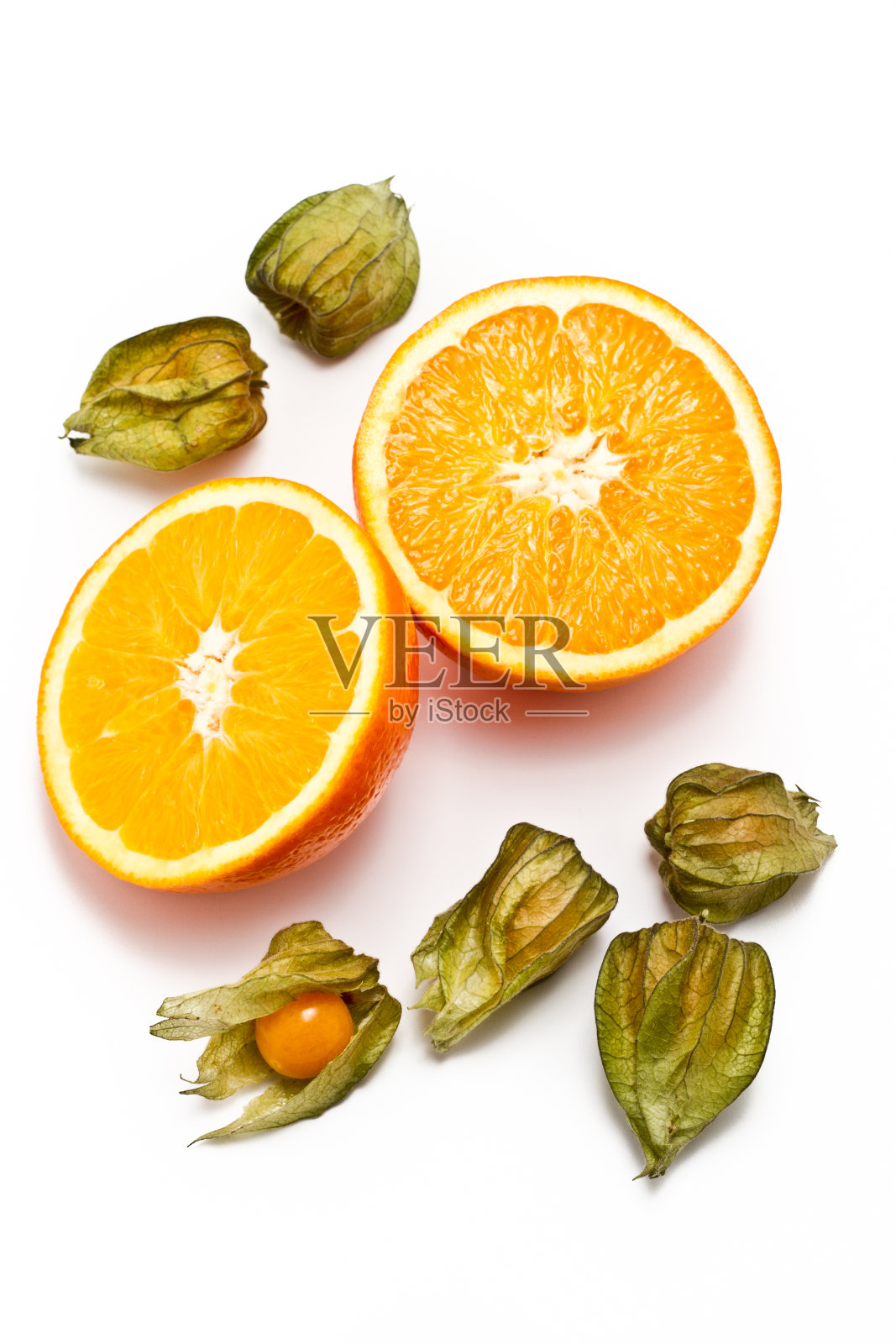 橙色和菲利斯照片摄影图片