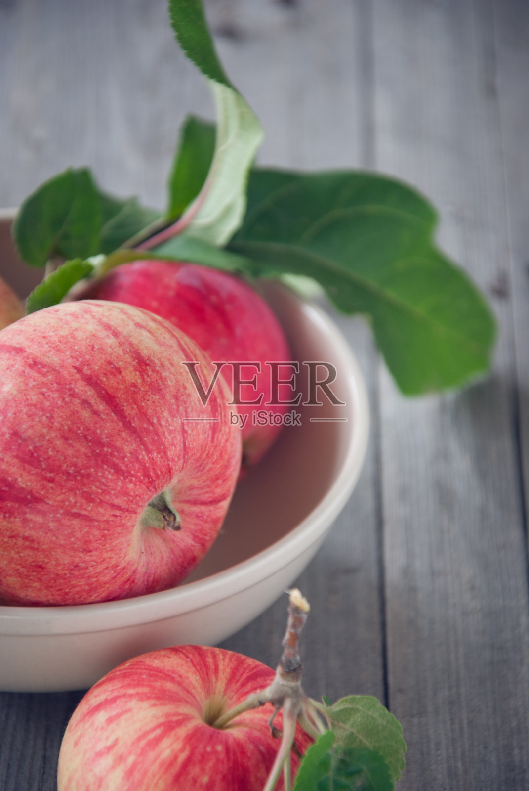 苹果照片摄影图片