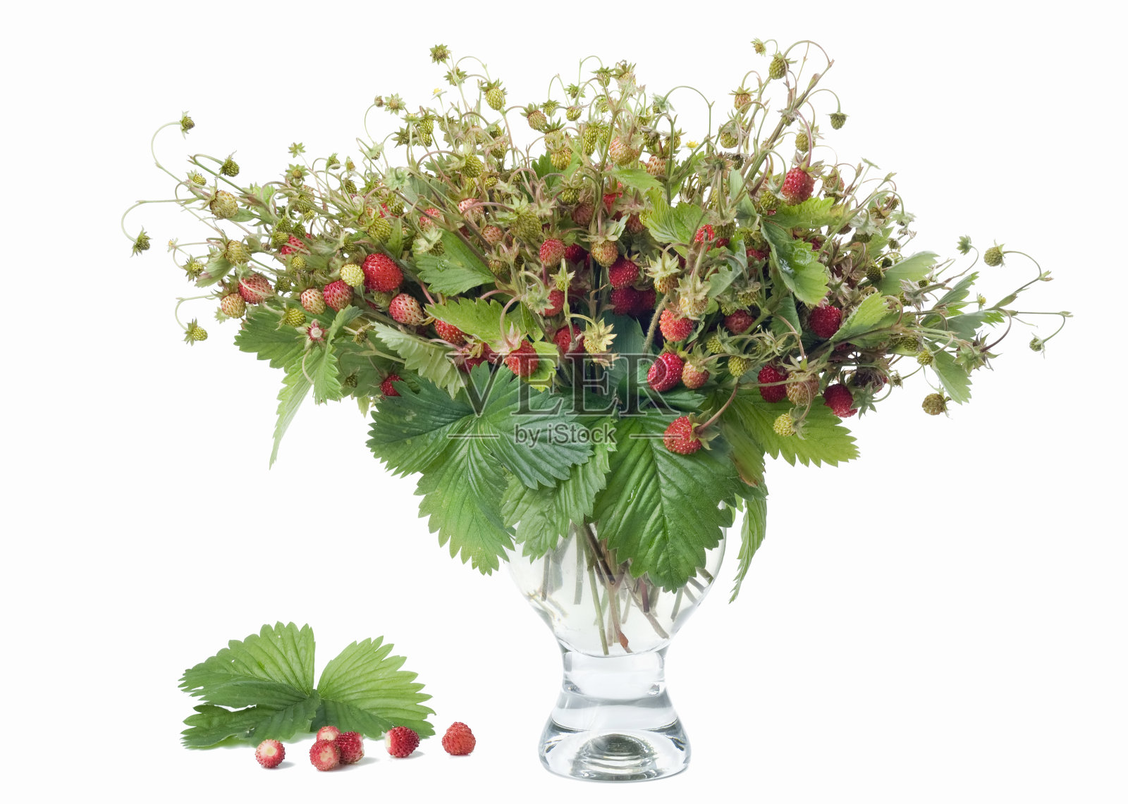 野草莓花束照片摄影图片