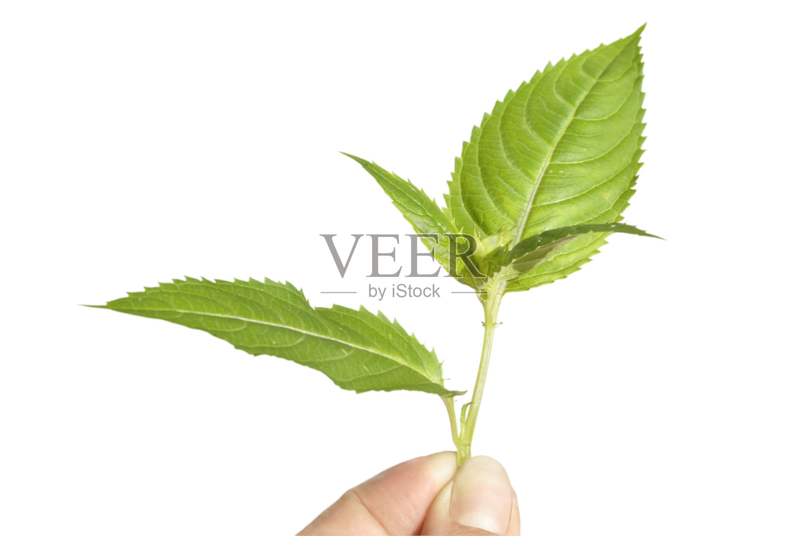 新生活照片摄影图片