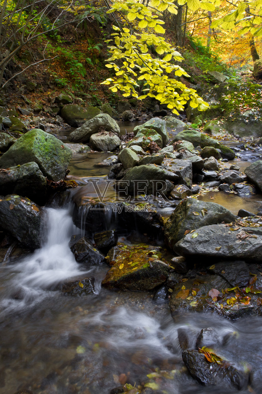 秋天的流照片摄影图片