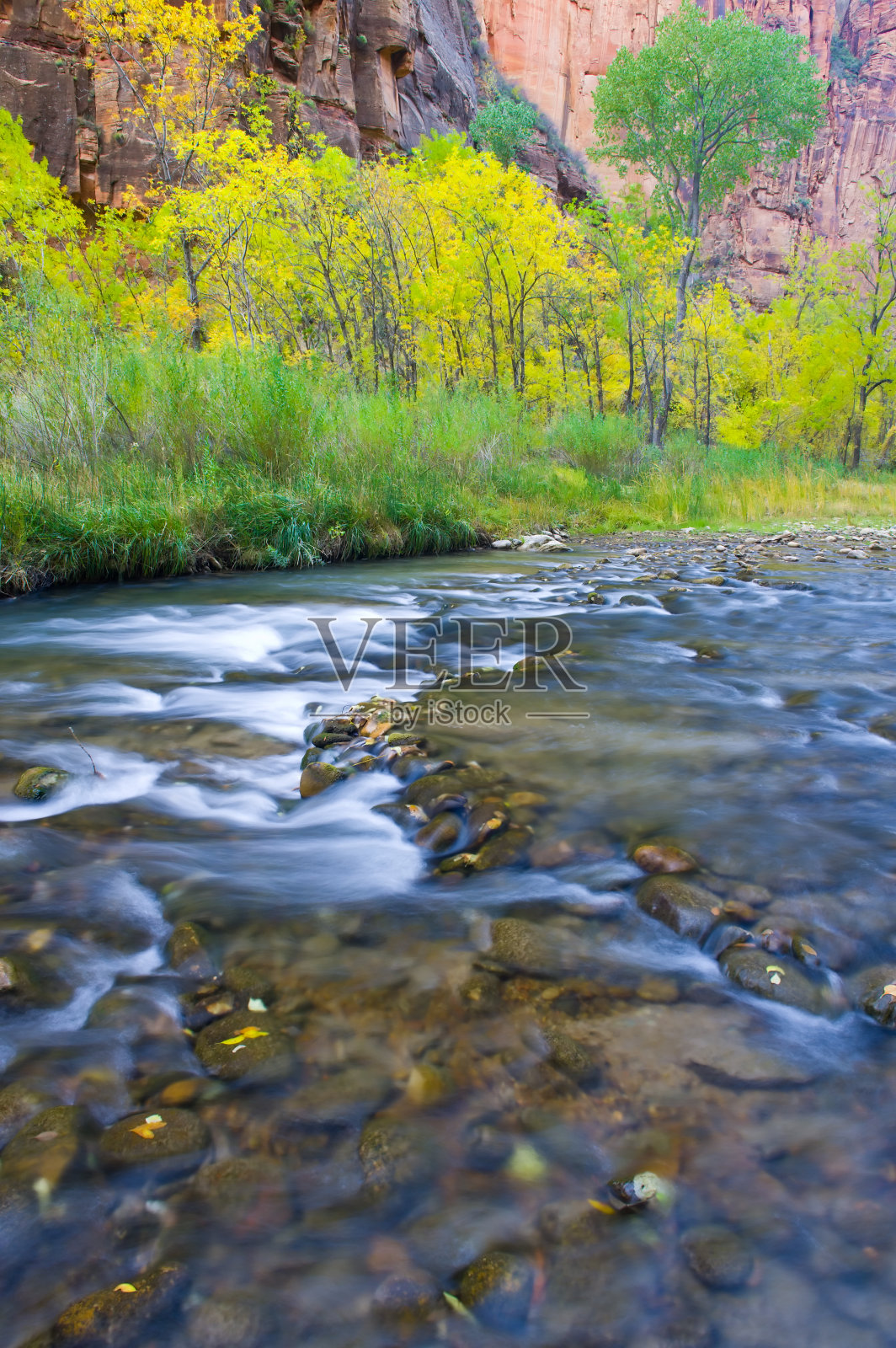 秋处女河锡安国家公园照片摄影图片