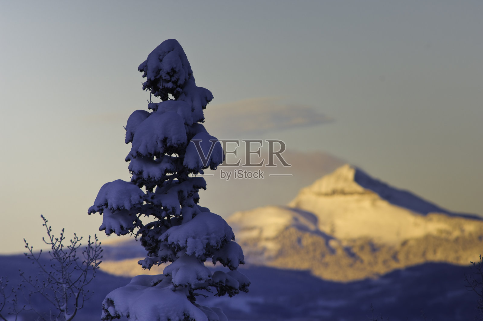 山上的日出和冬天的雪树照片摄影图片