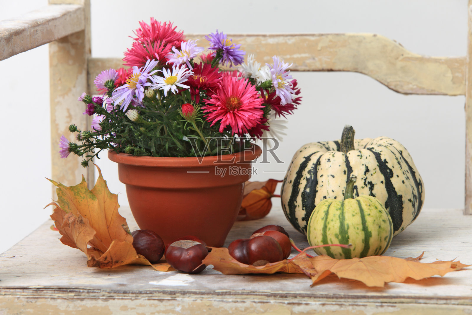 秋天组成照片摄影图片