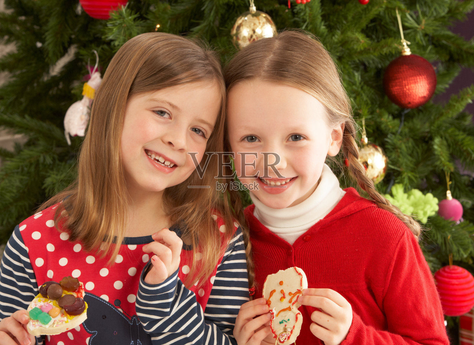 两个小女孩在圣诞树前吃饼干照片摄影图片
