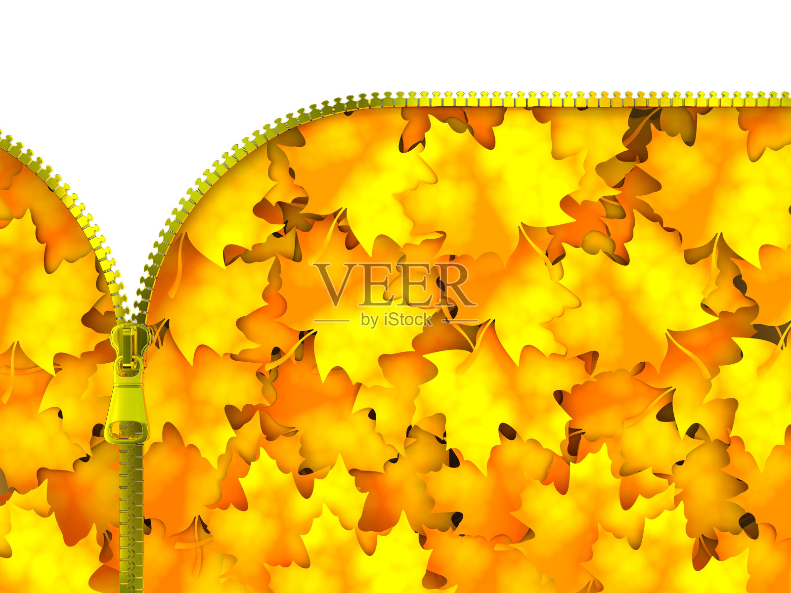 拉链用树叶插画图片素材