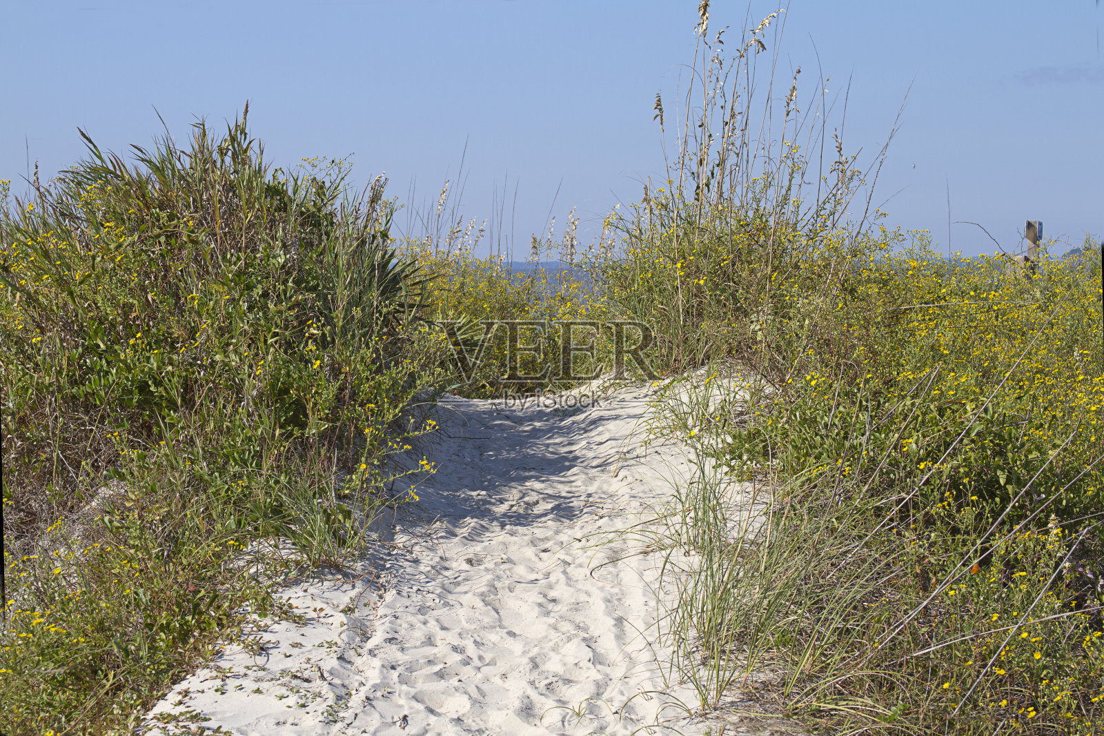 海上之路照片摄影图片
