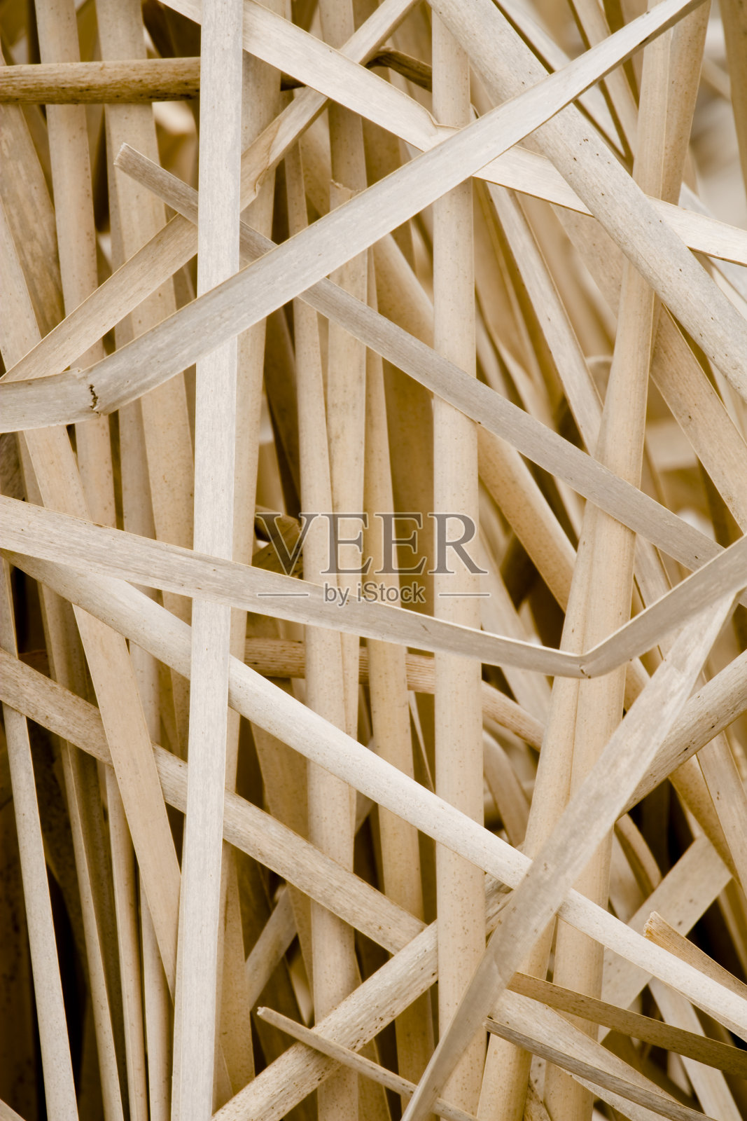 香蒲里德照片摄影图片