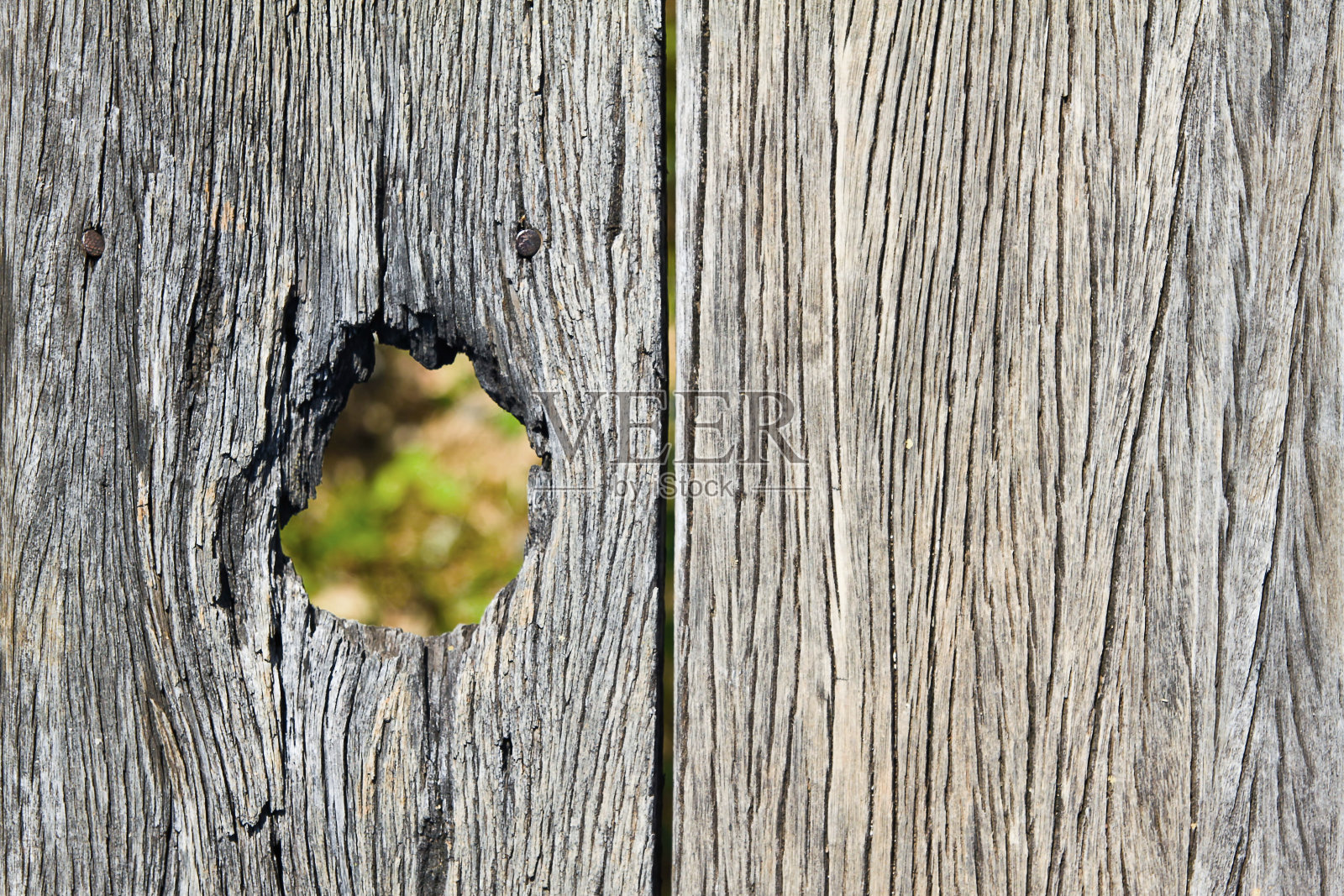 洞木照片摄影图片
