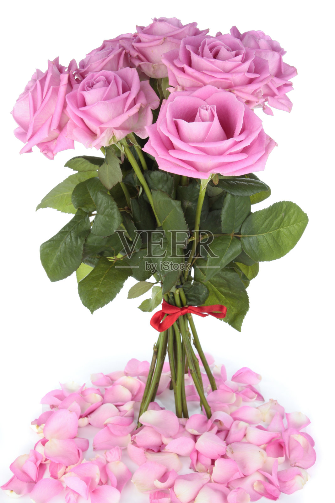 粉色玫瑰盖过白色照片摄影图片