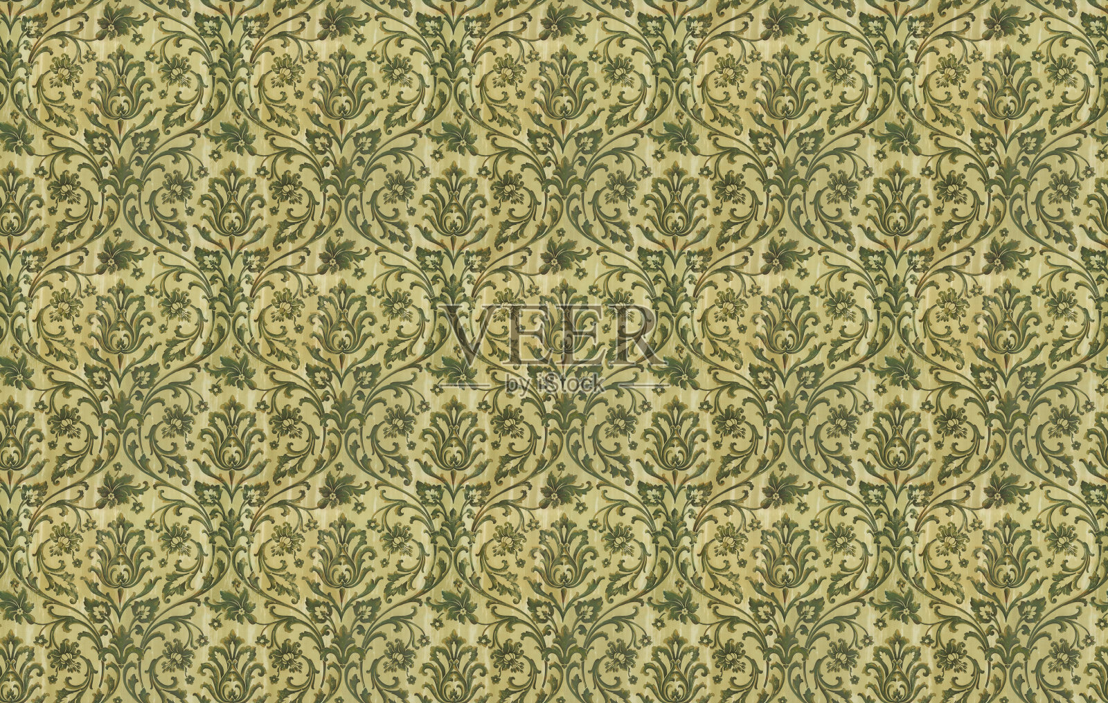 大马士革绿色照片摄影图片