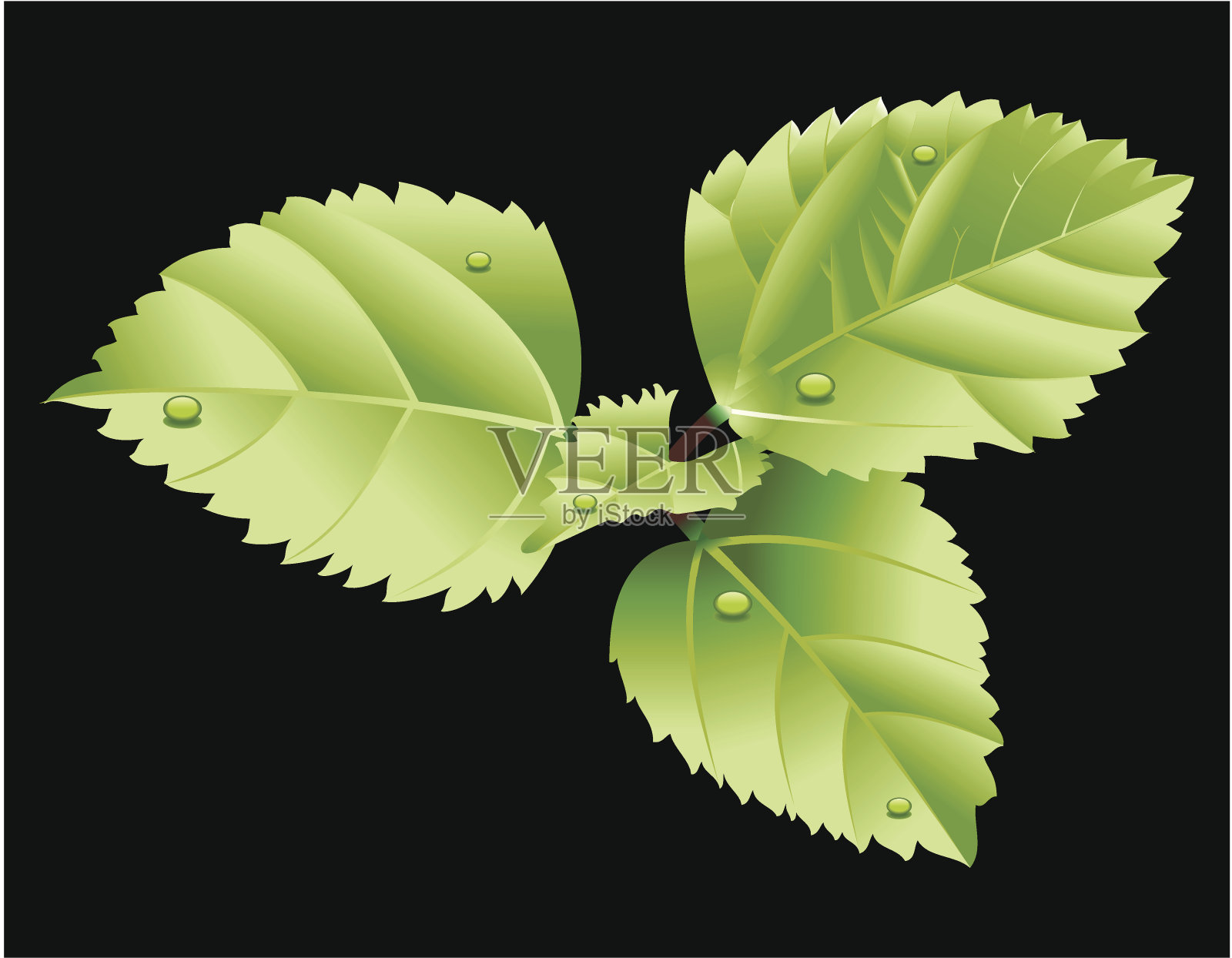 摘要生态叶设计元素图片