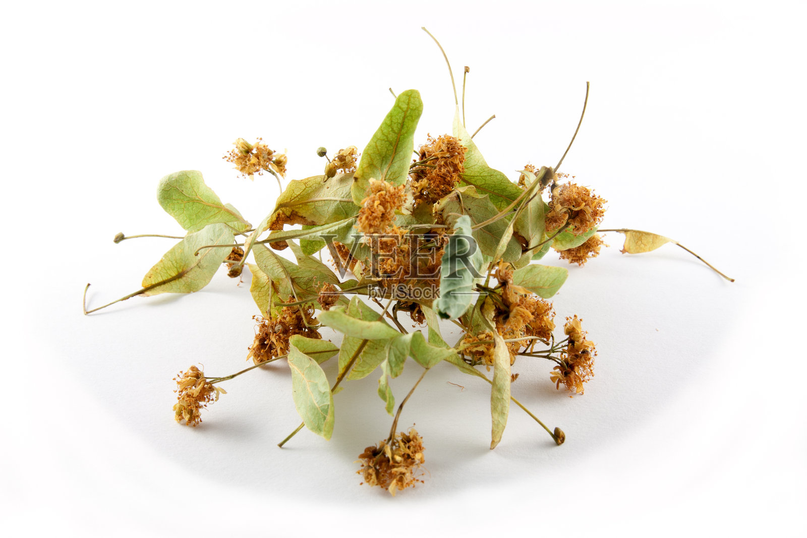 椴树花的茶照片摄影图片