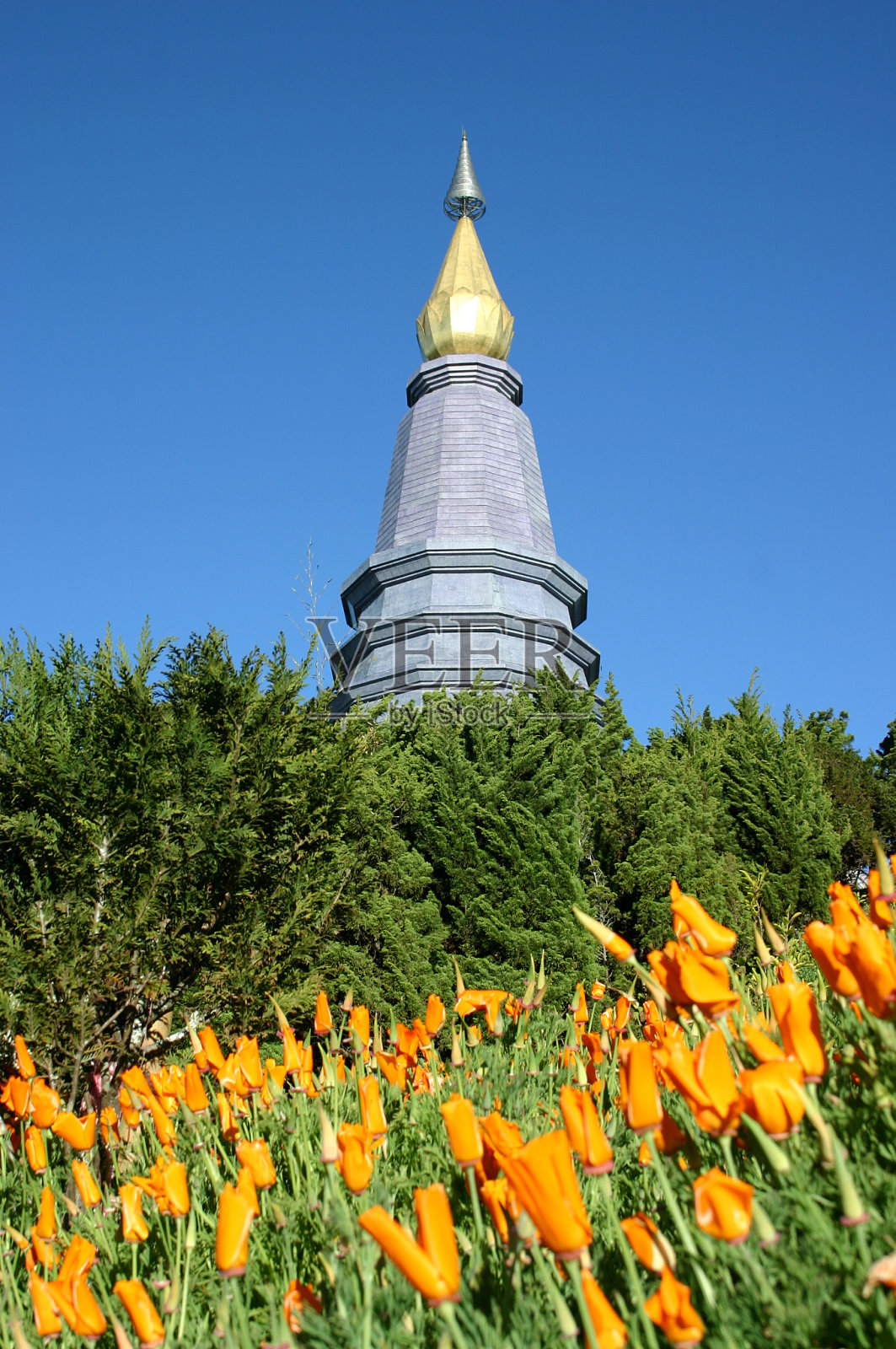 宝塔照片摄影图片