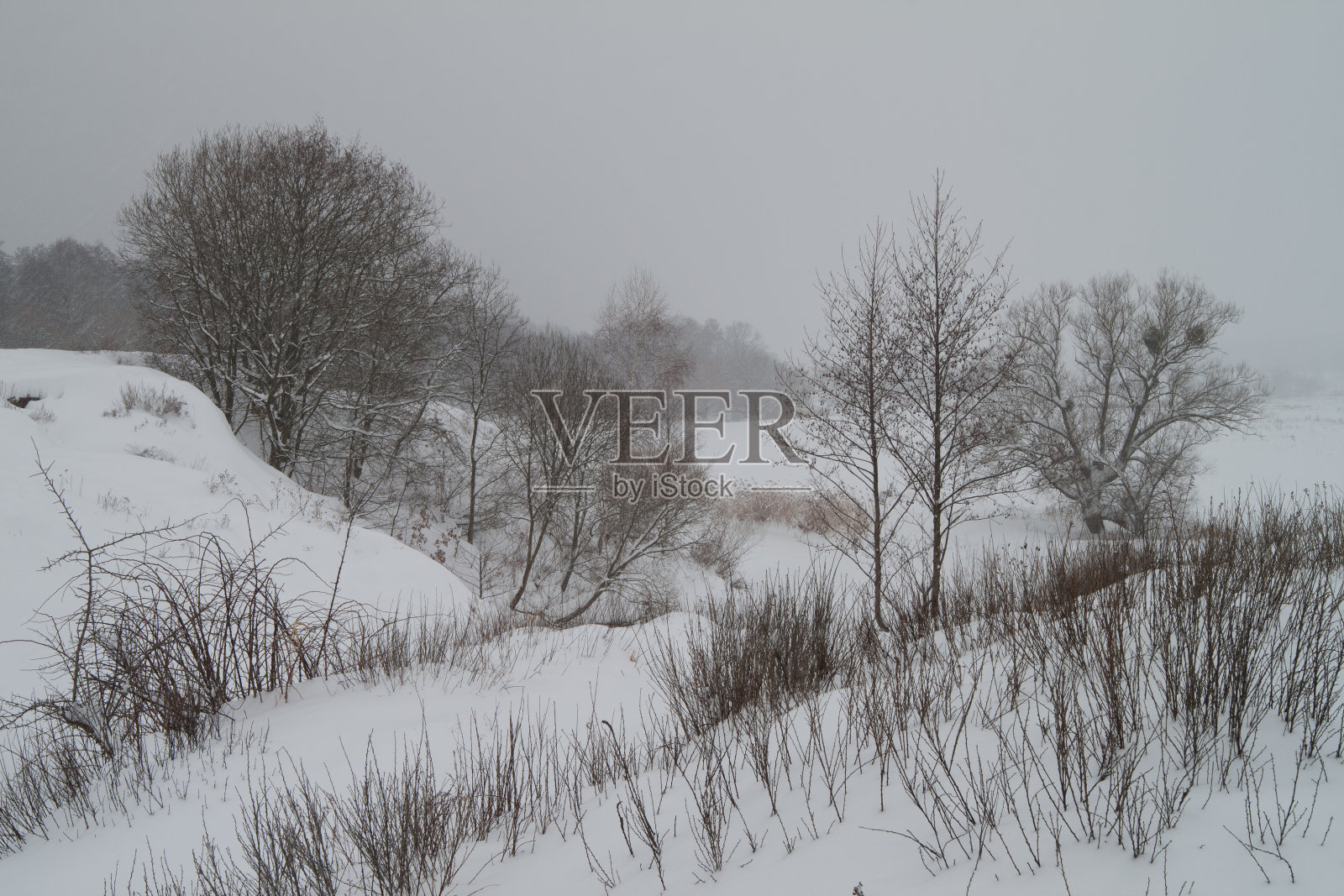 严酷的冬天。照片摄影图片