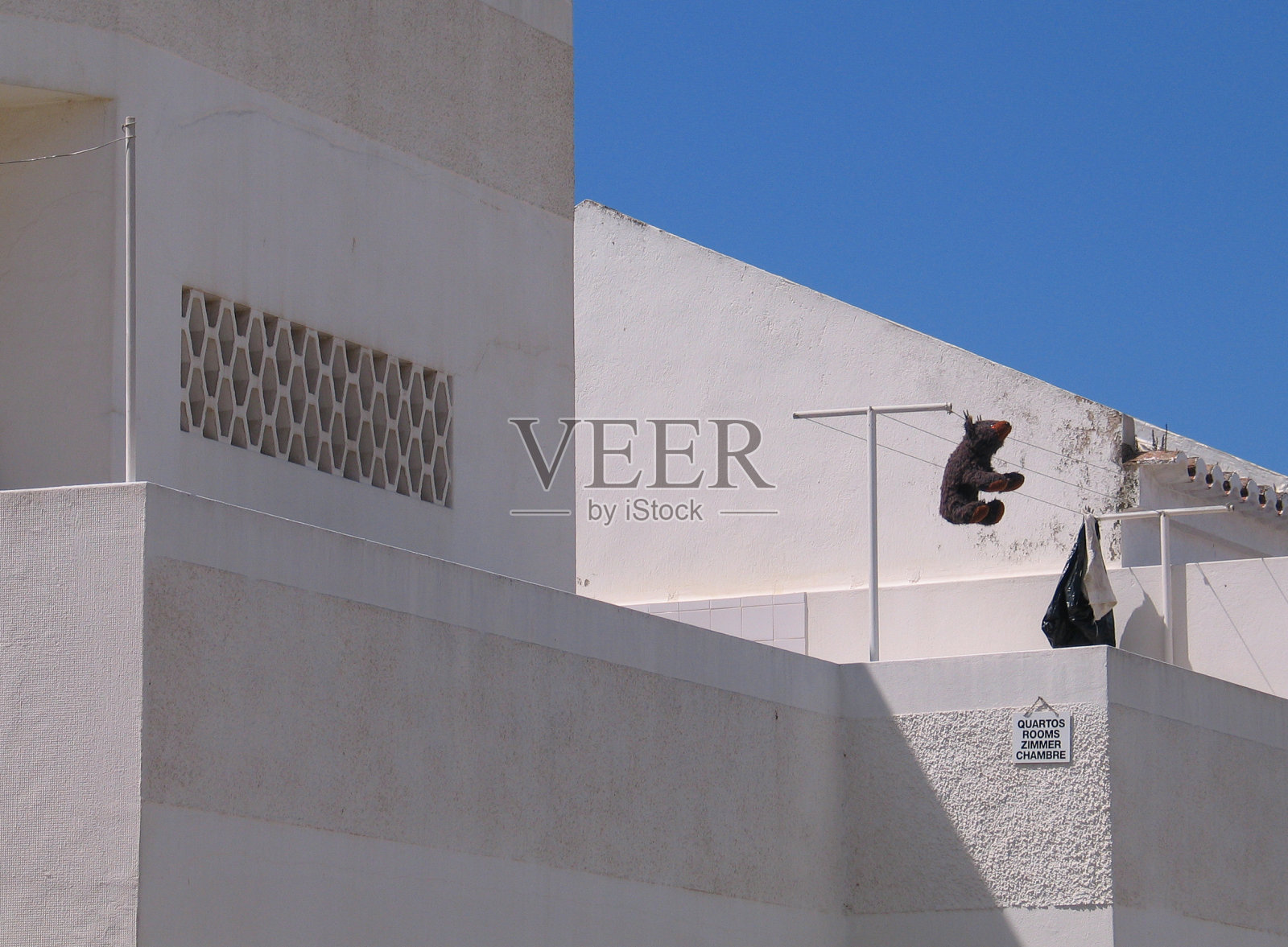 干燥的熊照片摄影图片