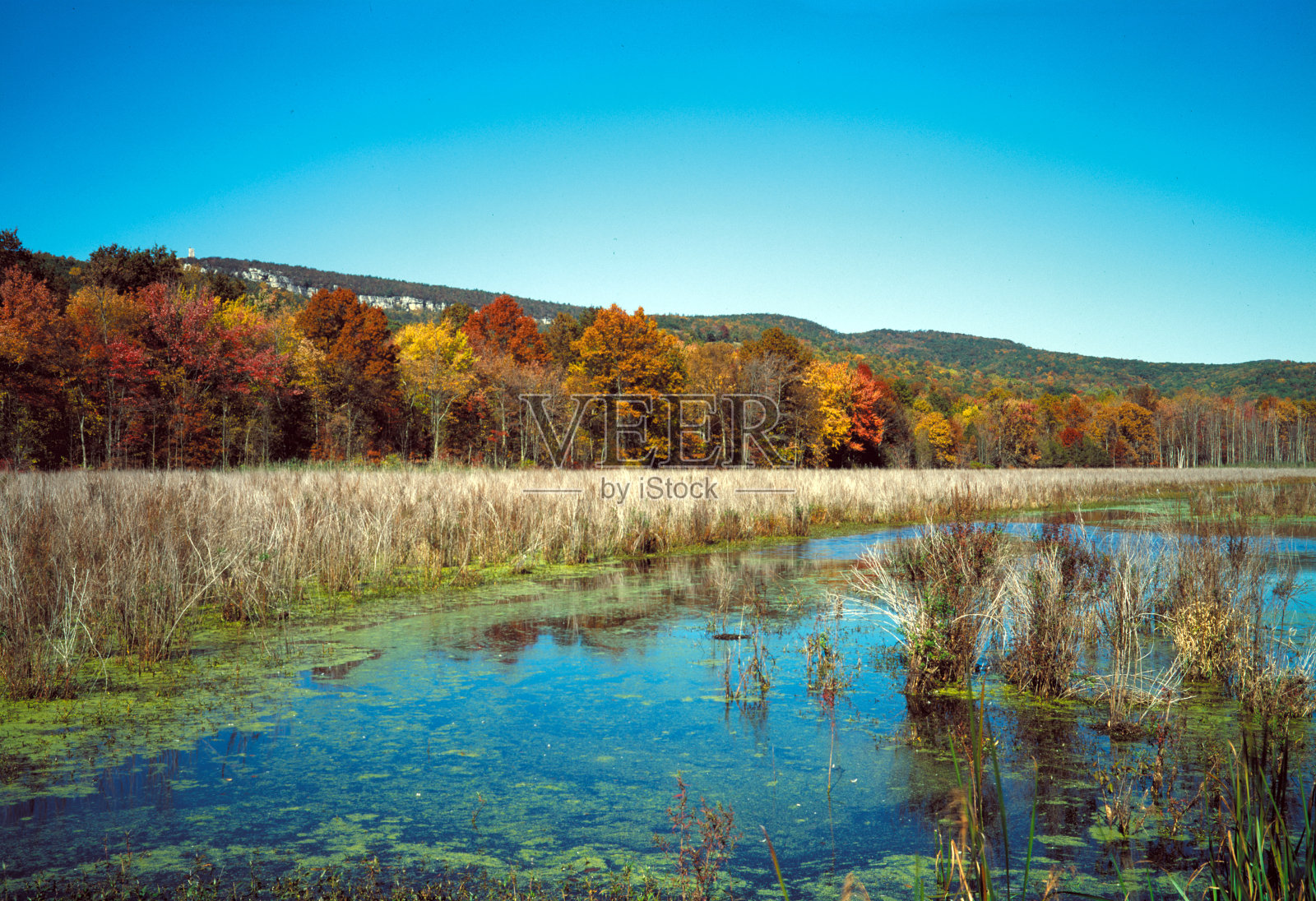 山中的湖照片摄影图片