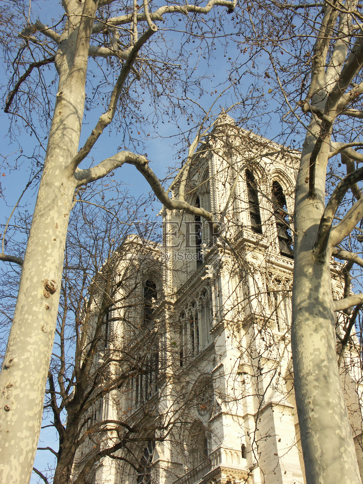 巴黎圣母院照片摄影图片