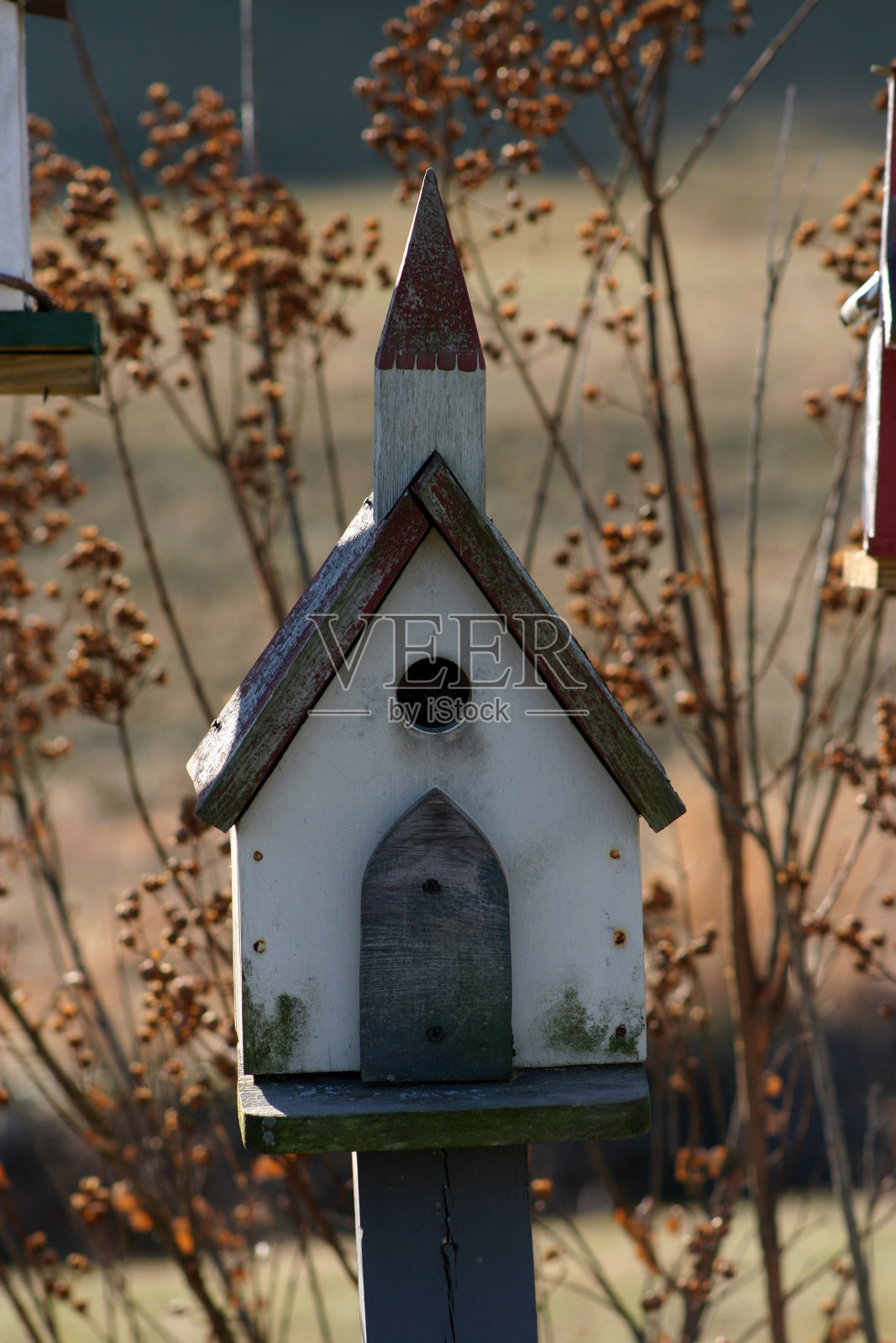 禽舍教堂照片摄影图片