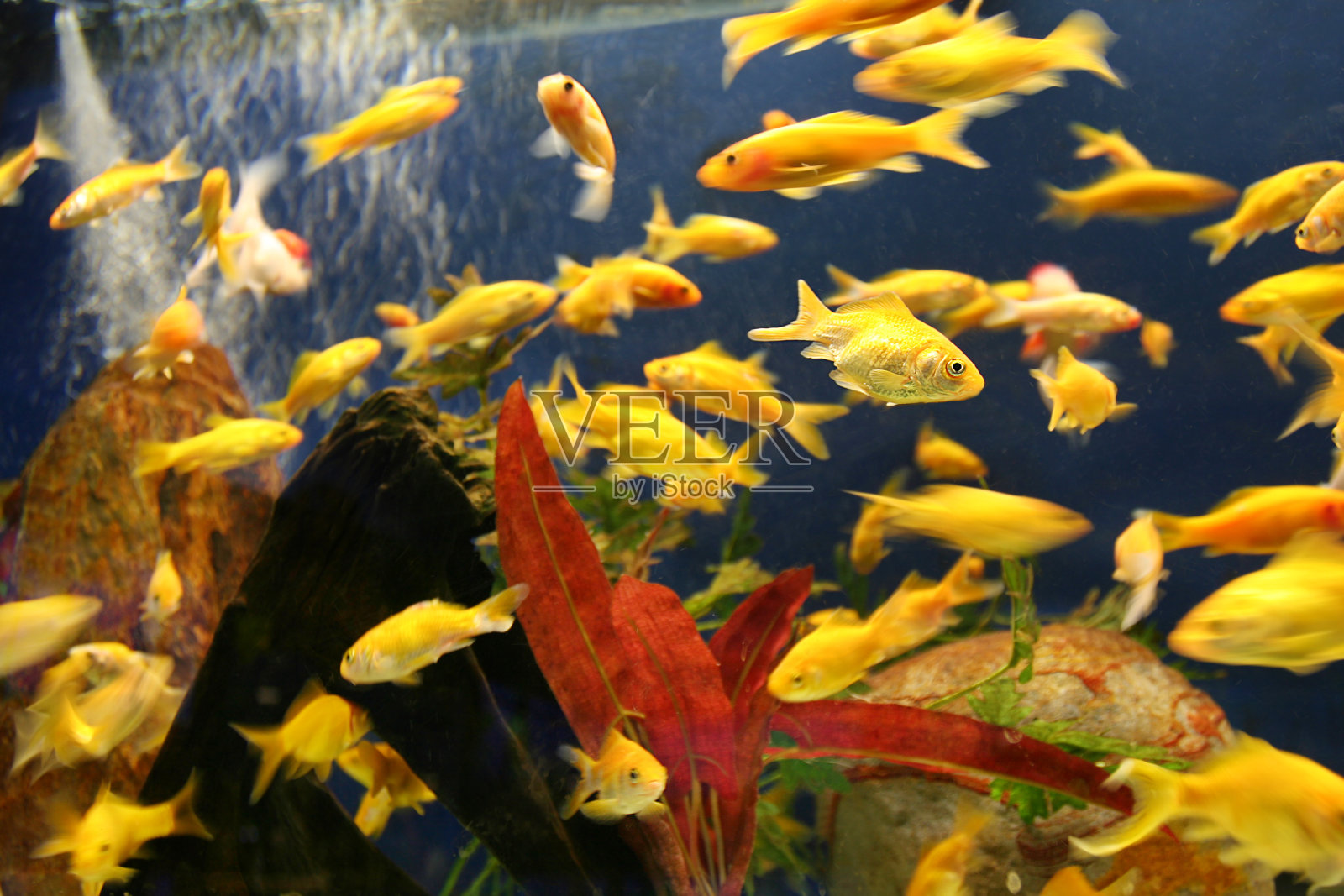 高峰时间照片摄影图片