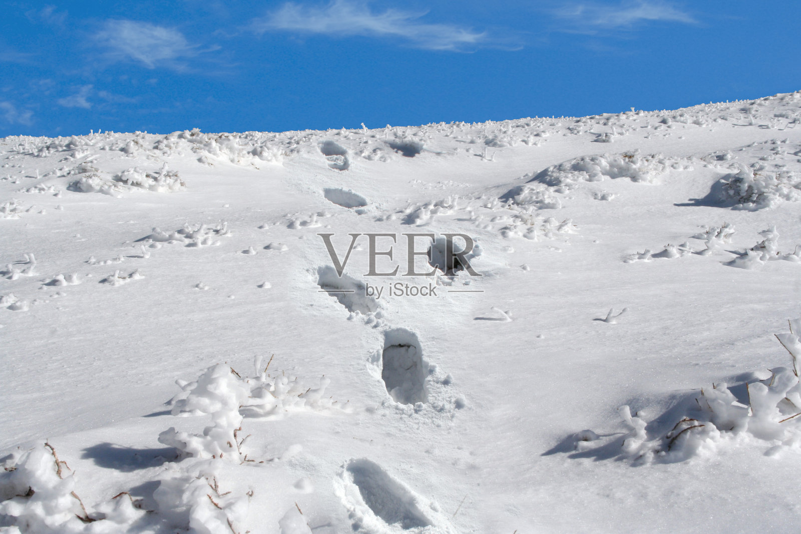 目标照片摄影图片