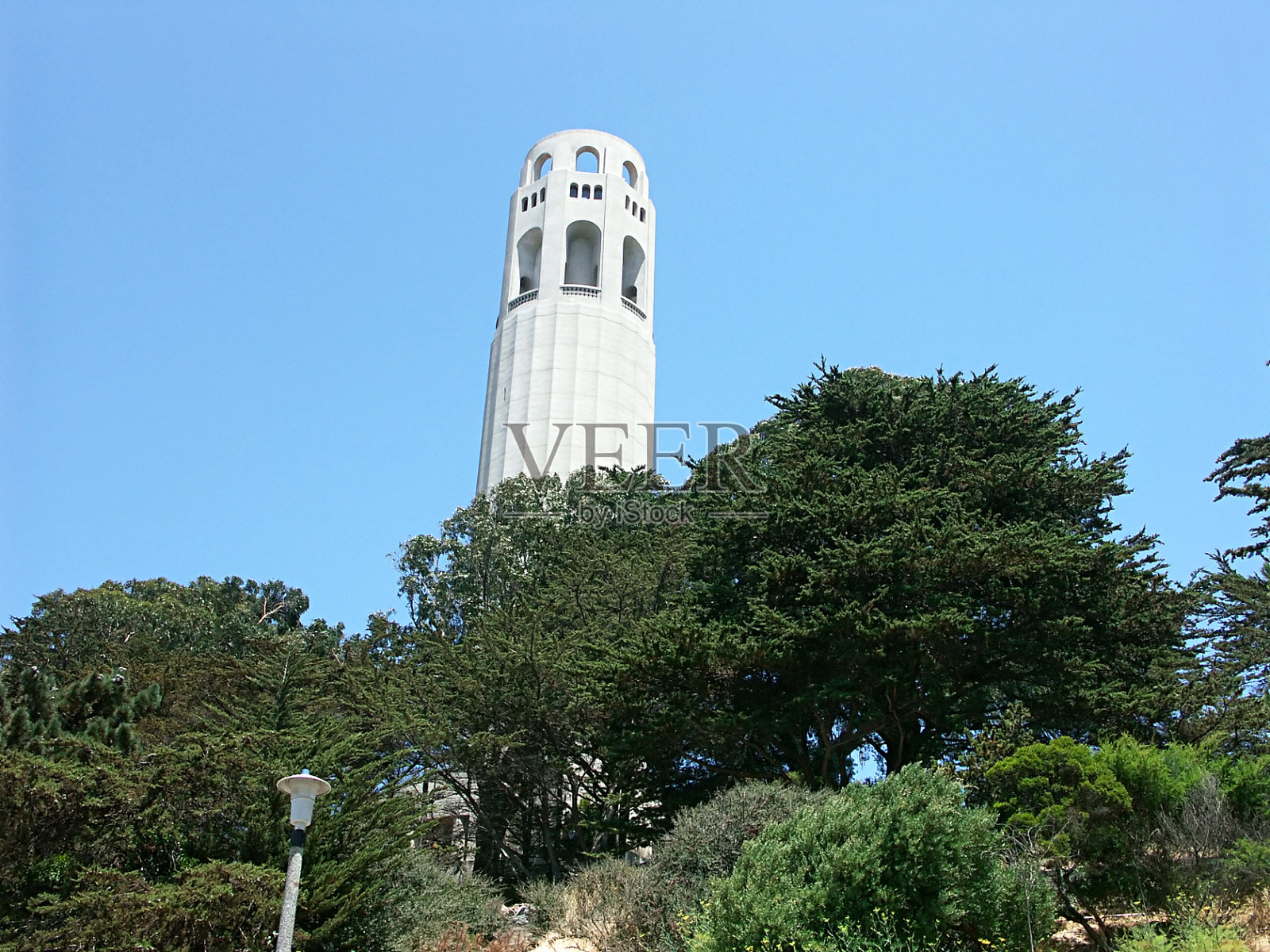 屁股塔照片摄影图片