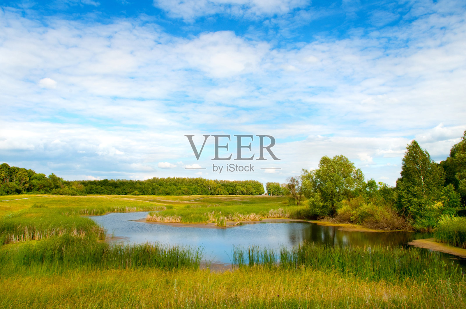 夏季景观与湖泊和草地照片摄影图片