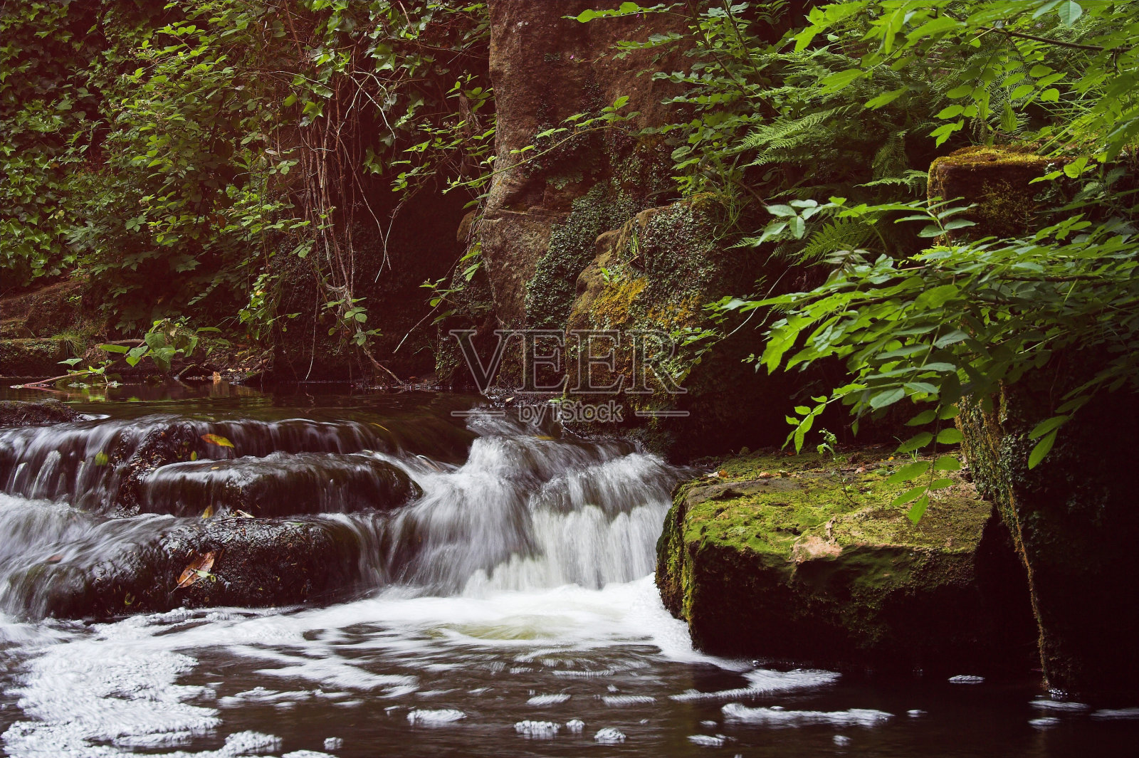 朗朗的照片摄影图片