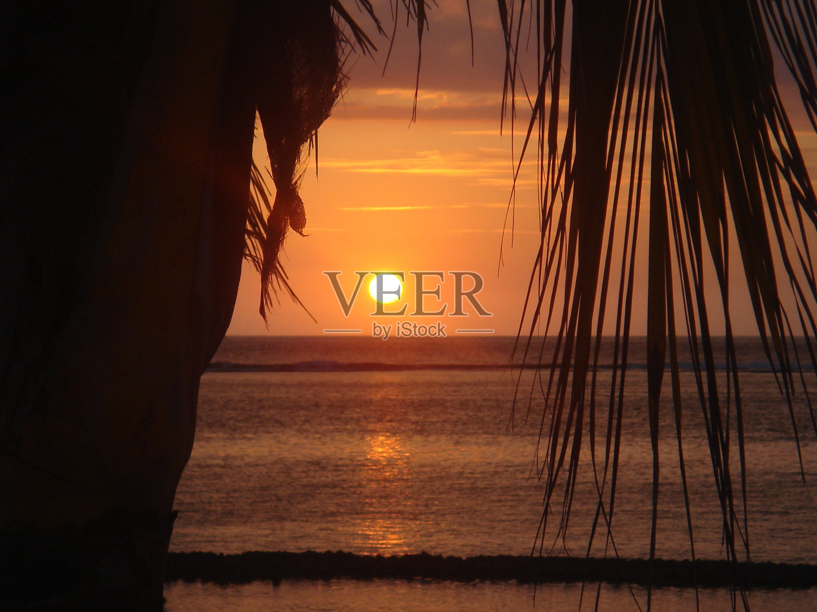 天堂里美丽的日落穿过棕榈树照片摄影图片