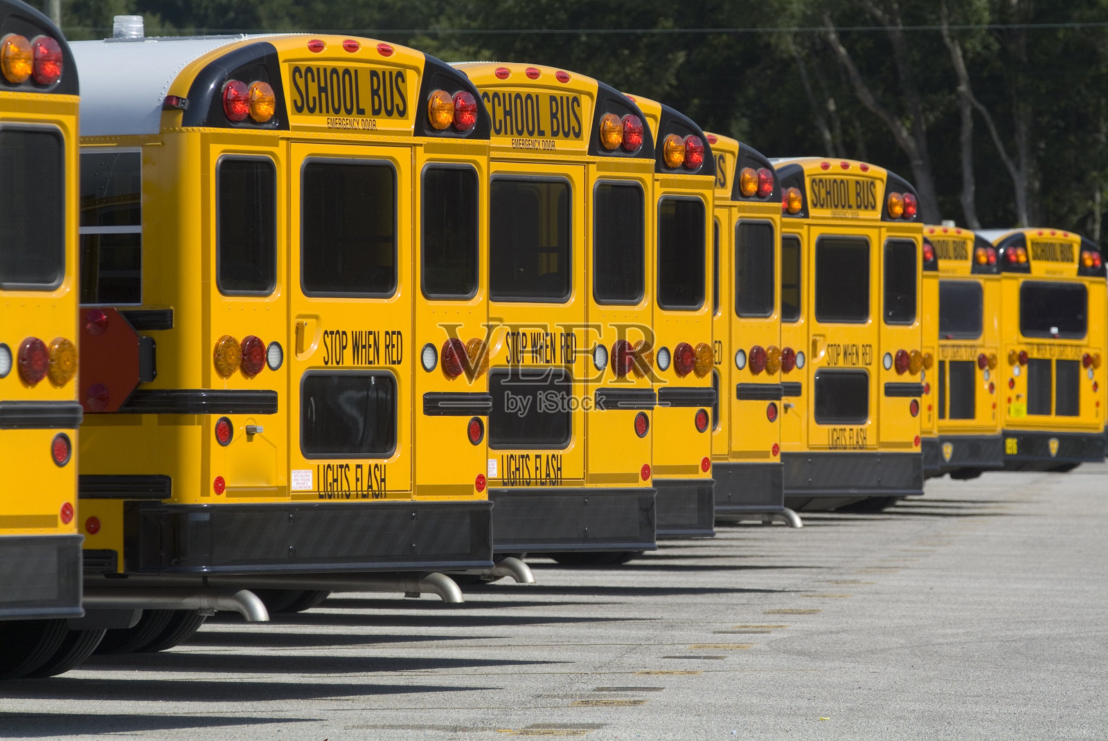 校车后方线路照片摄影图片