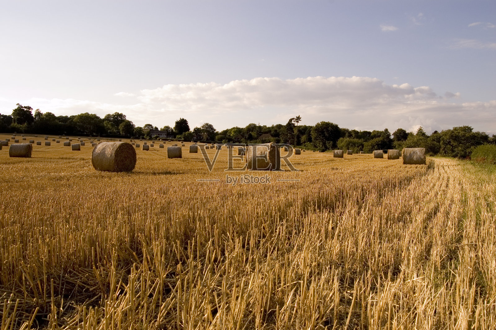 干草在田里滚动照片摄影图片