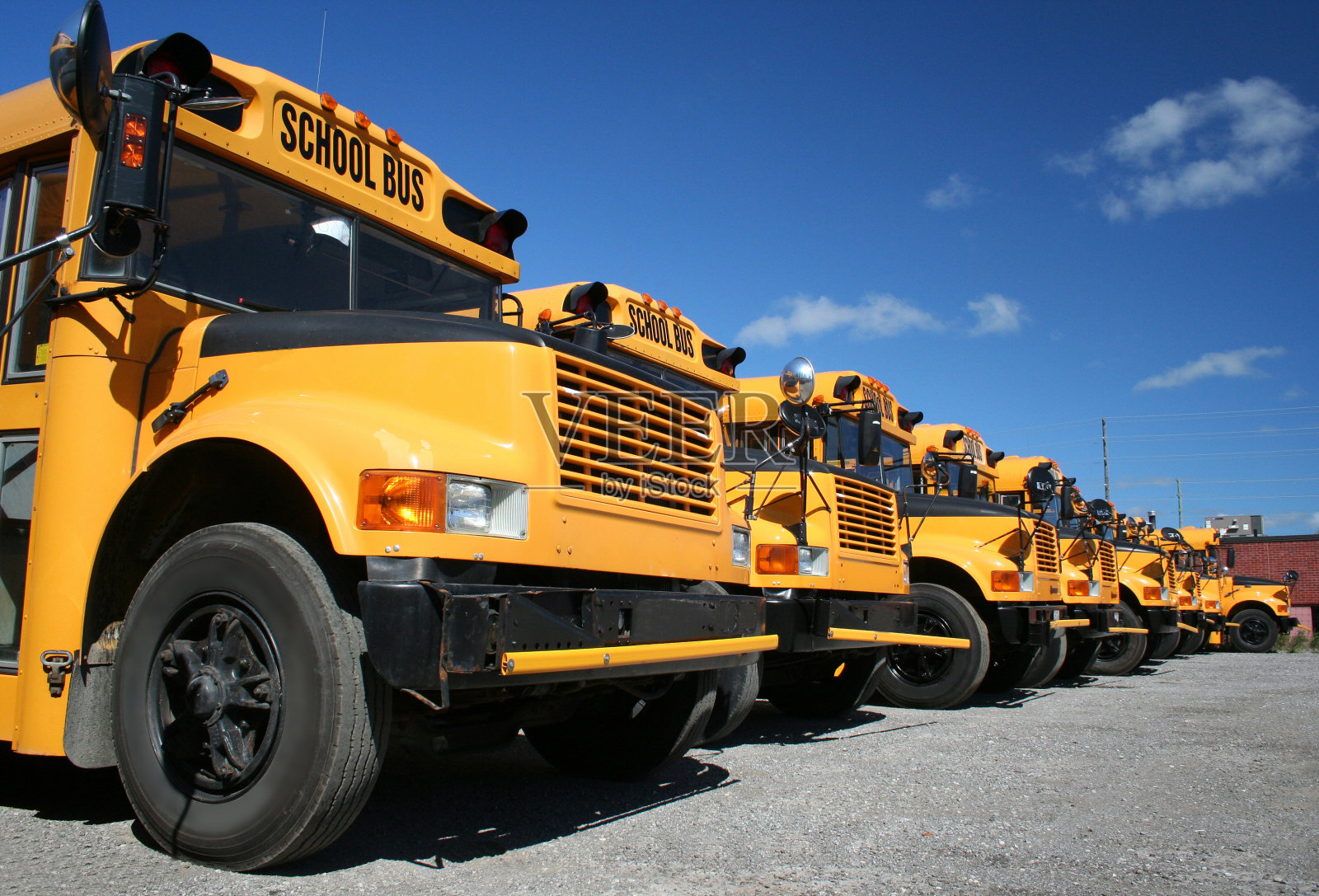 校车照片摄影图片