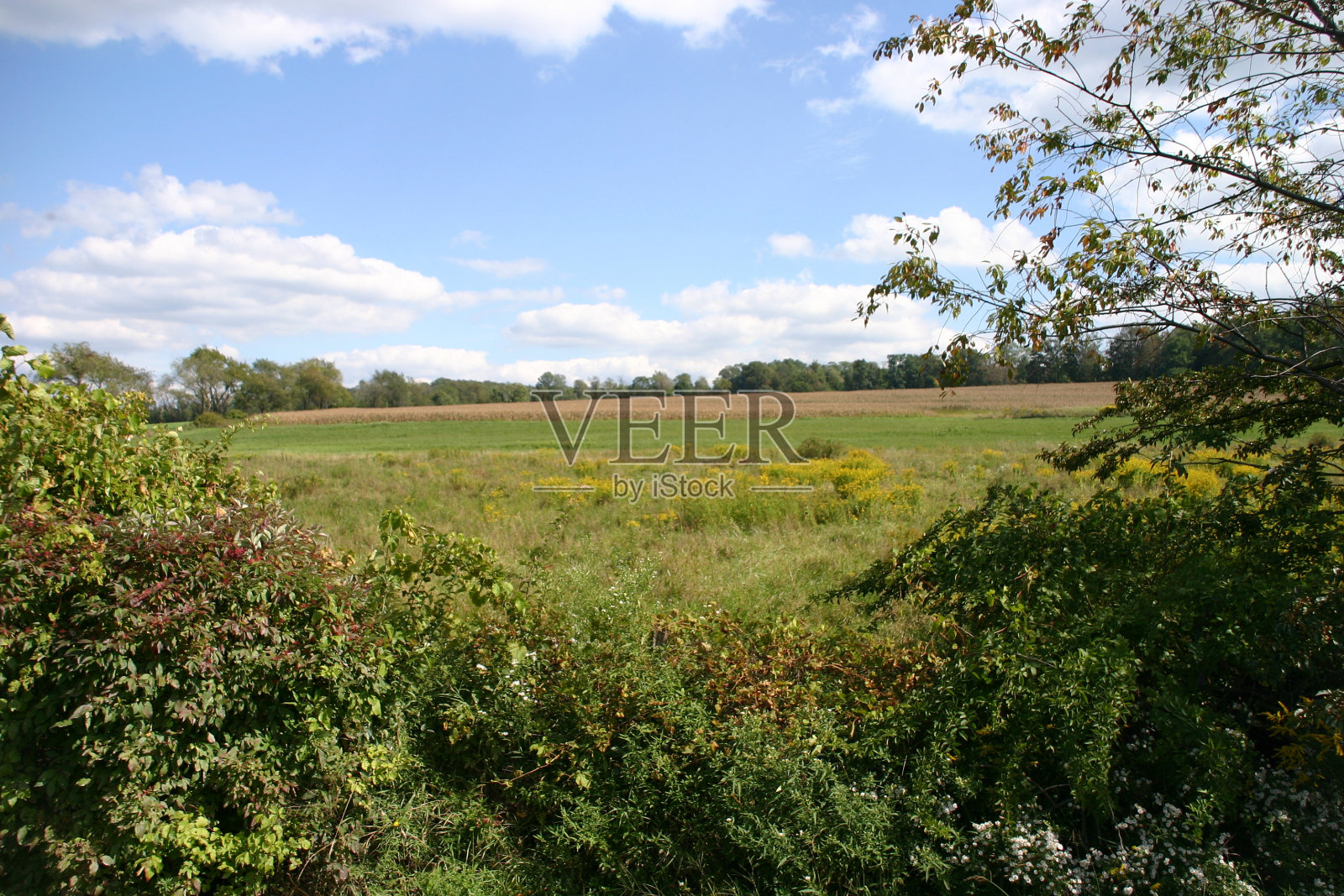 看田野照片摄影图片