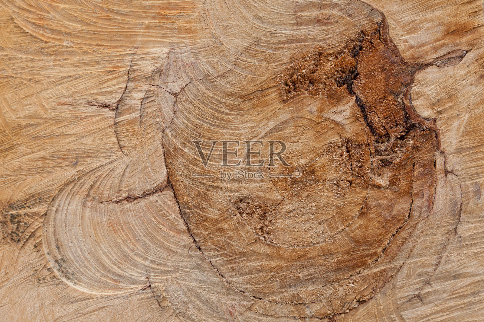 木横截面照片摄影图片