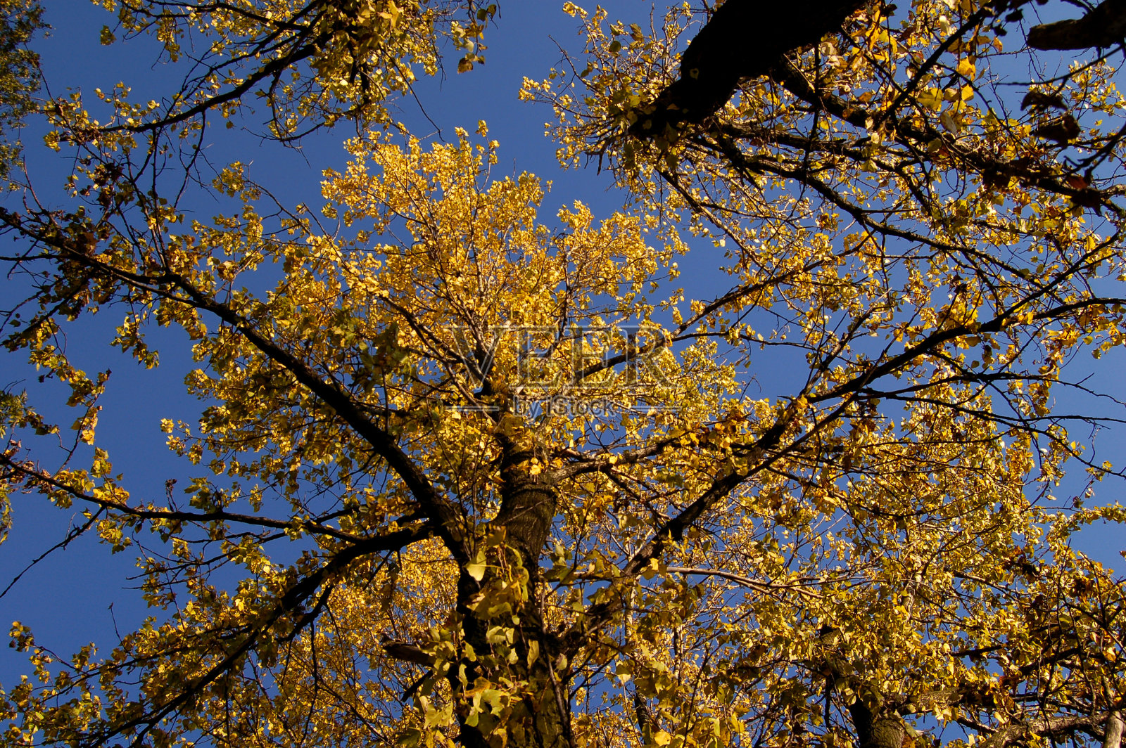 秋天照片摄影图片