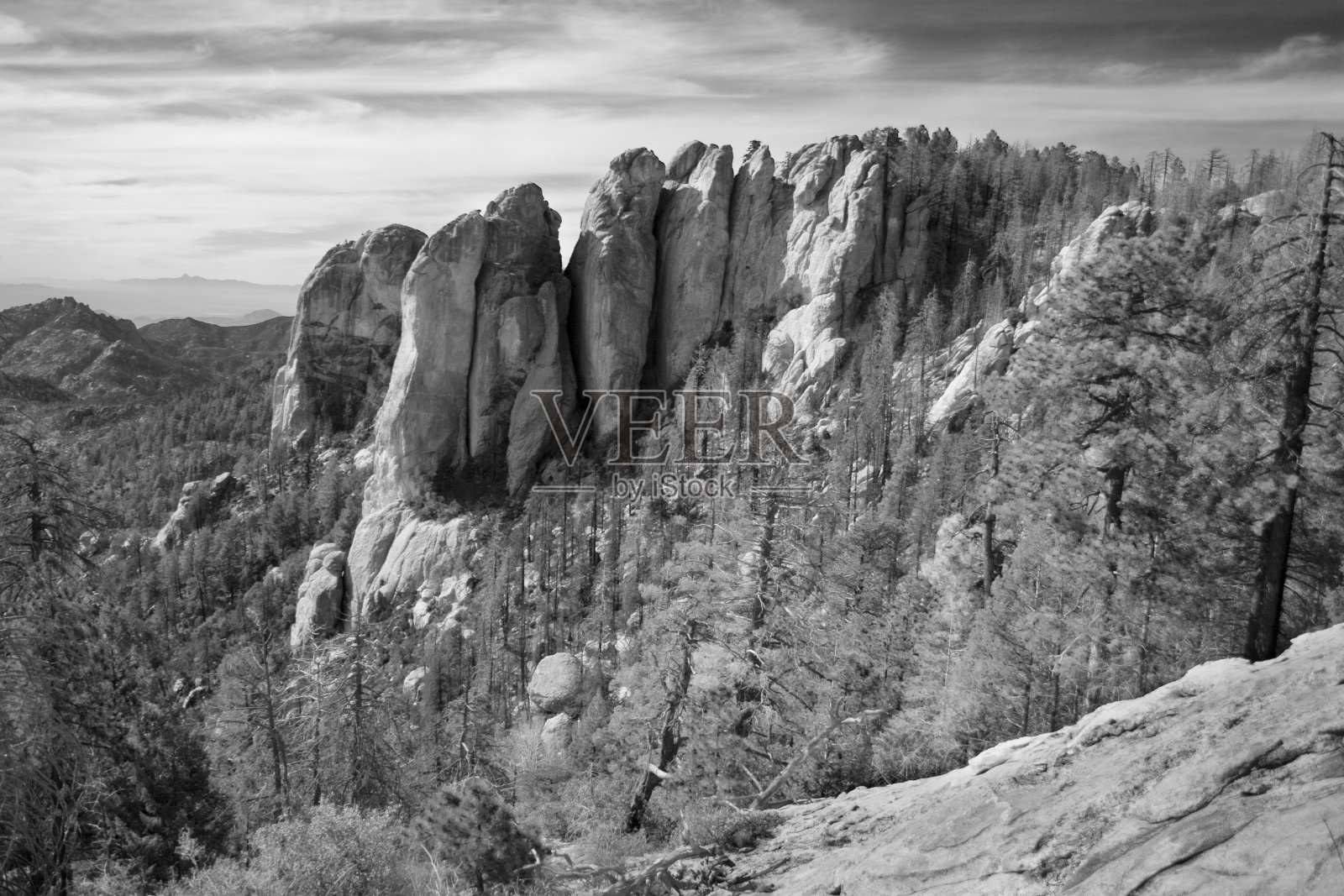 太雷蒙照片摄影图片