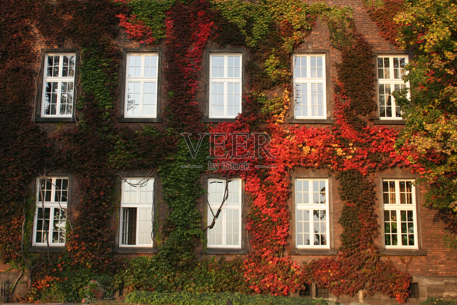 墙上照片摄影图片