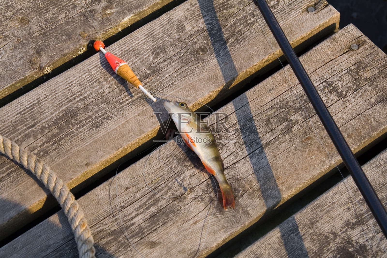 钓鱼照片摄影图片